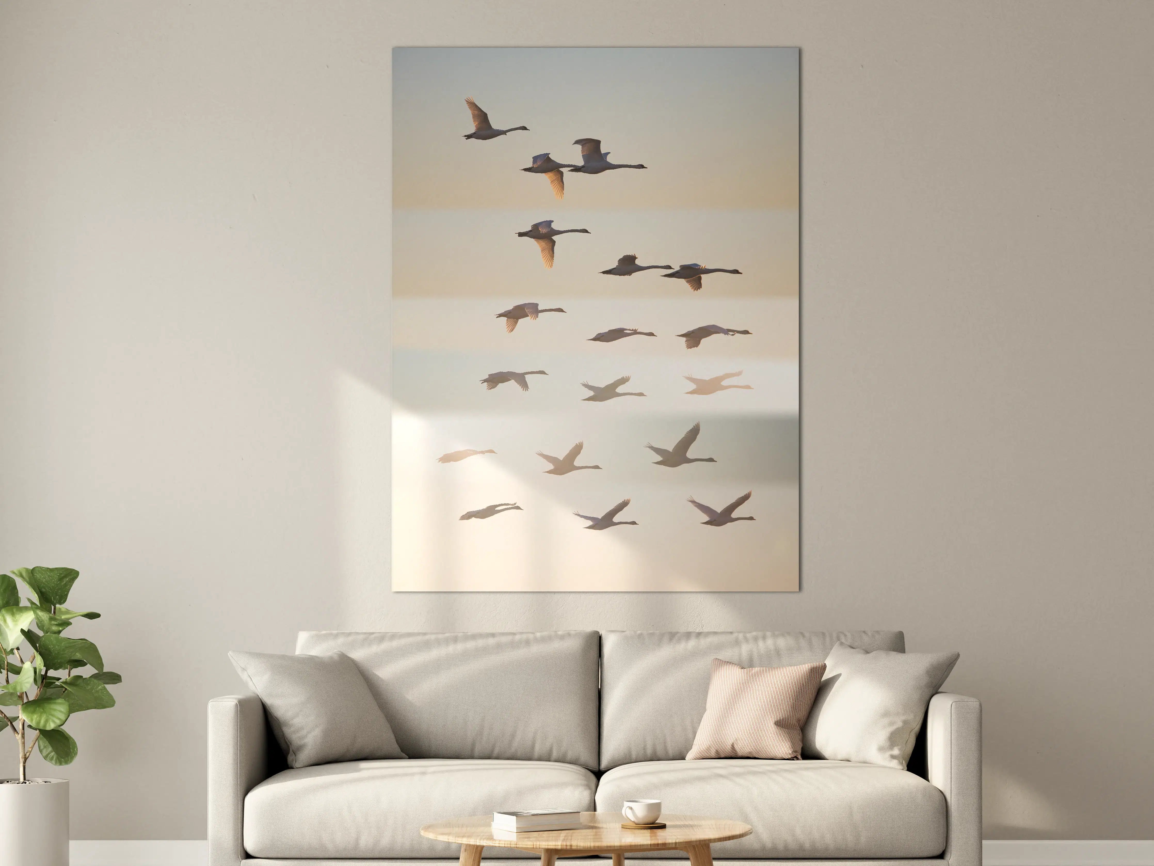 Große Wandbilder - Vogelzug im Sonnenlicht
