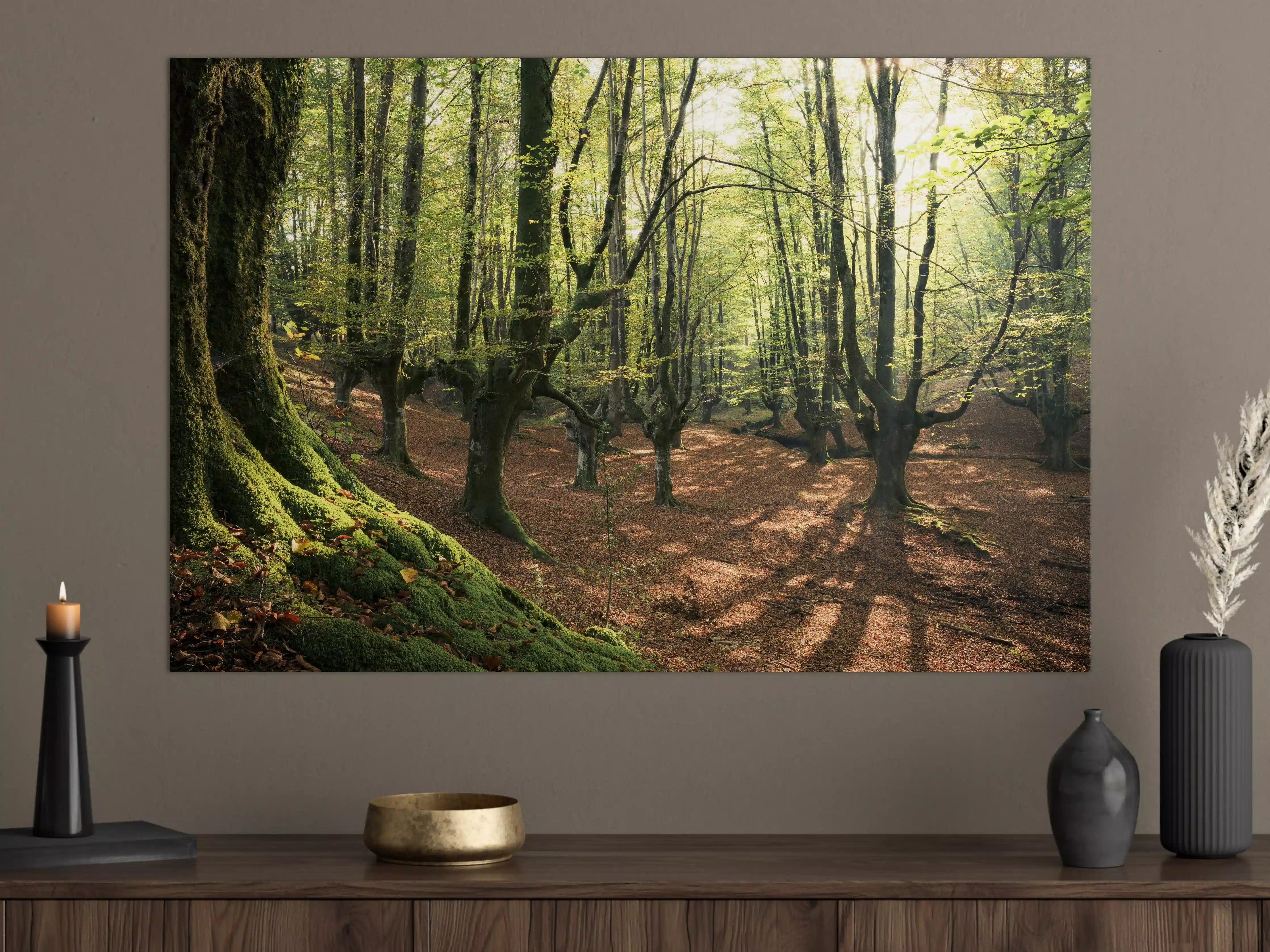 Große Wandbilder - Wald in Spanien