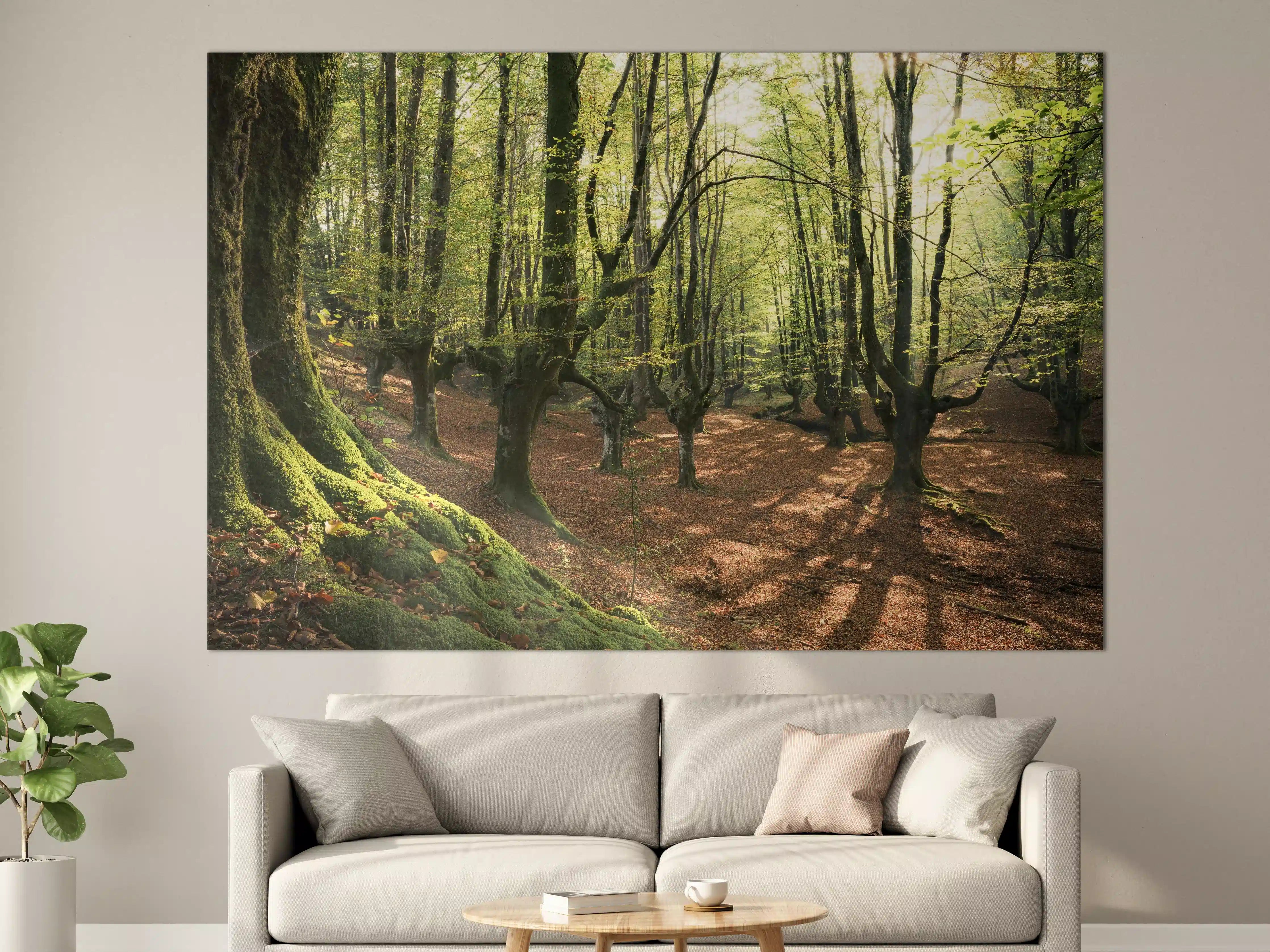 Große Wandbilder - Wald in Spanien