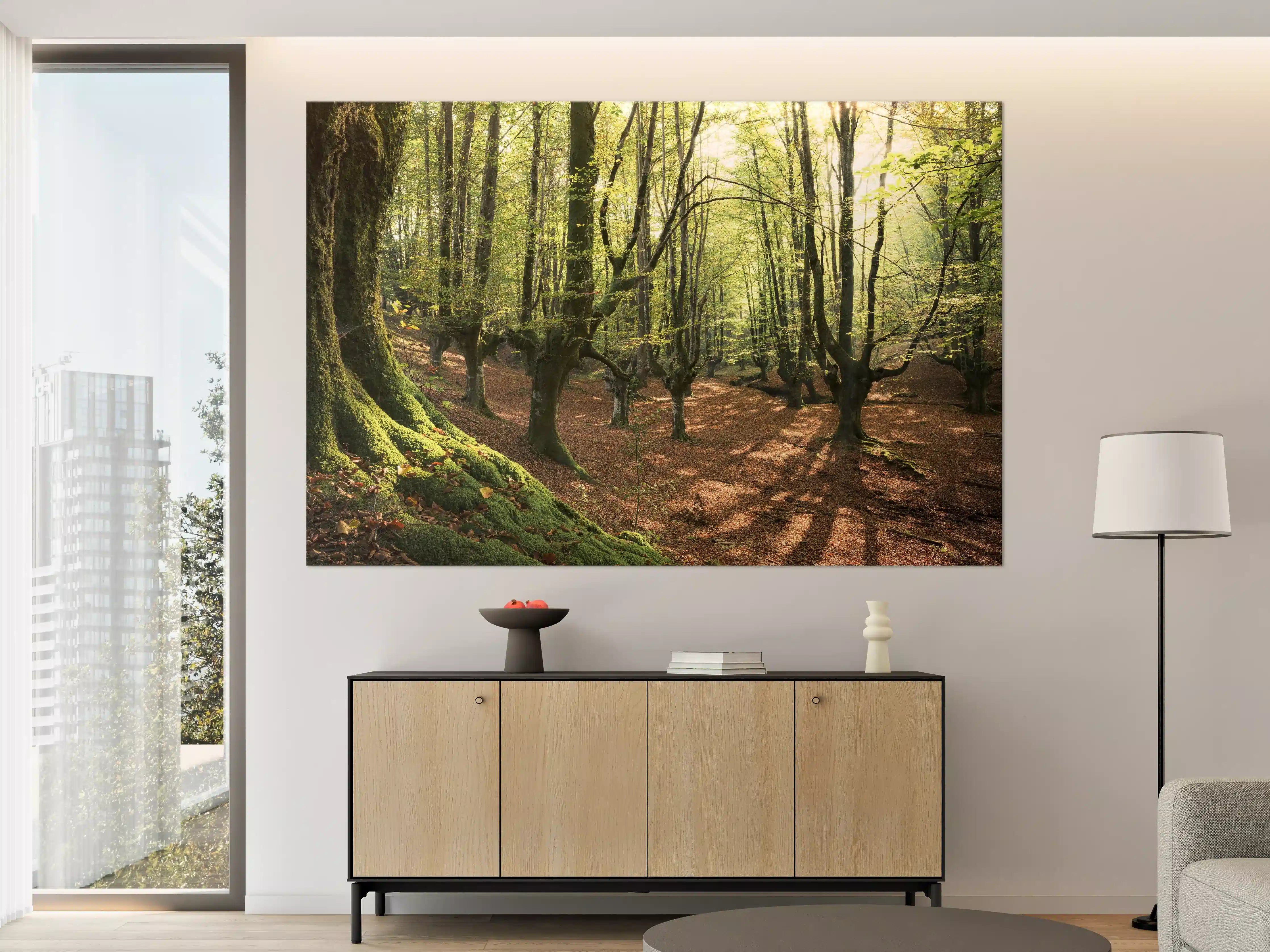 Große Wandbilder - Wald in Spanien