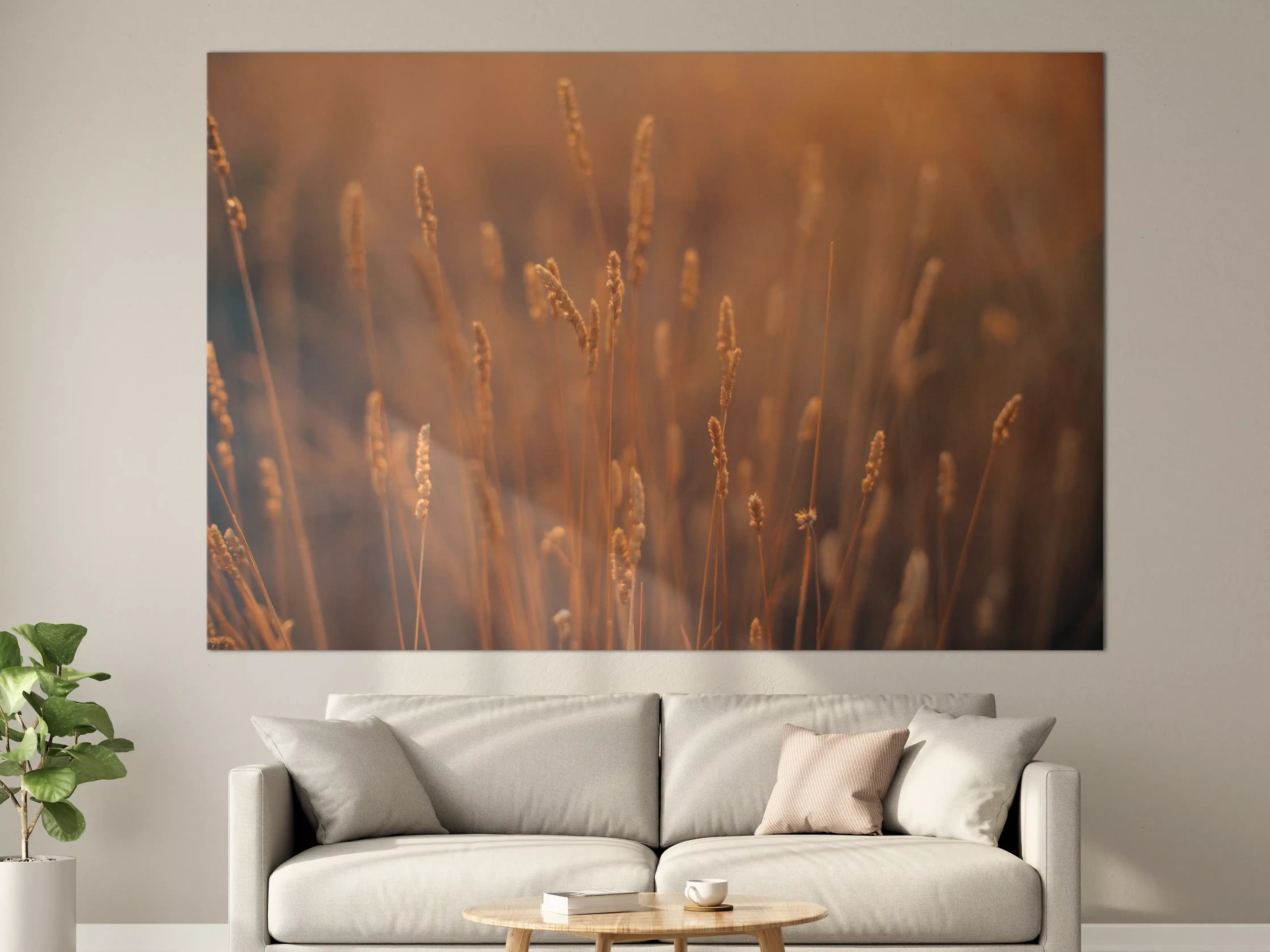 Große Wandbilder - Warme Goldene Weizenähren im Sunset-Licht