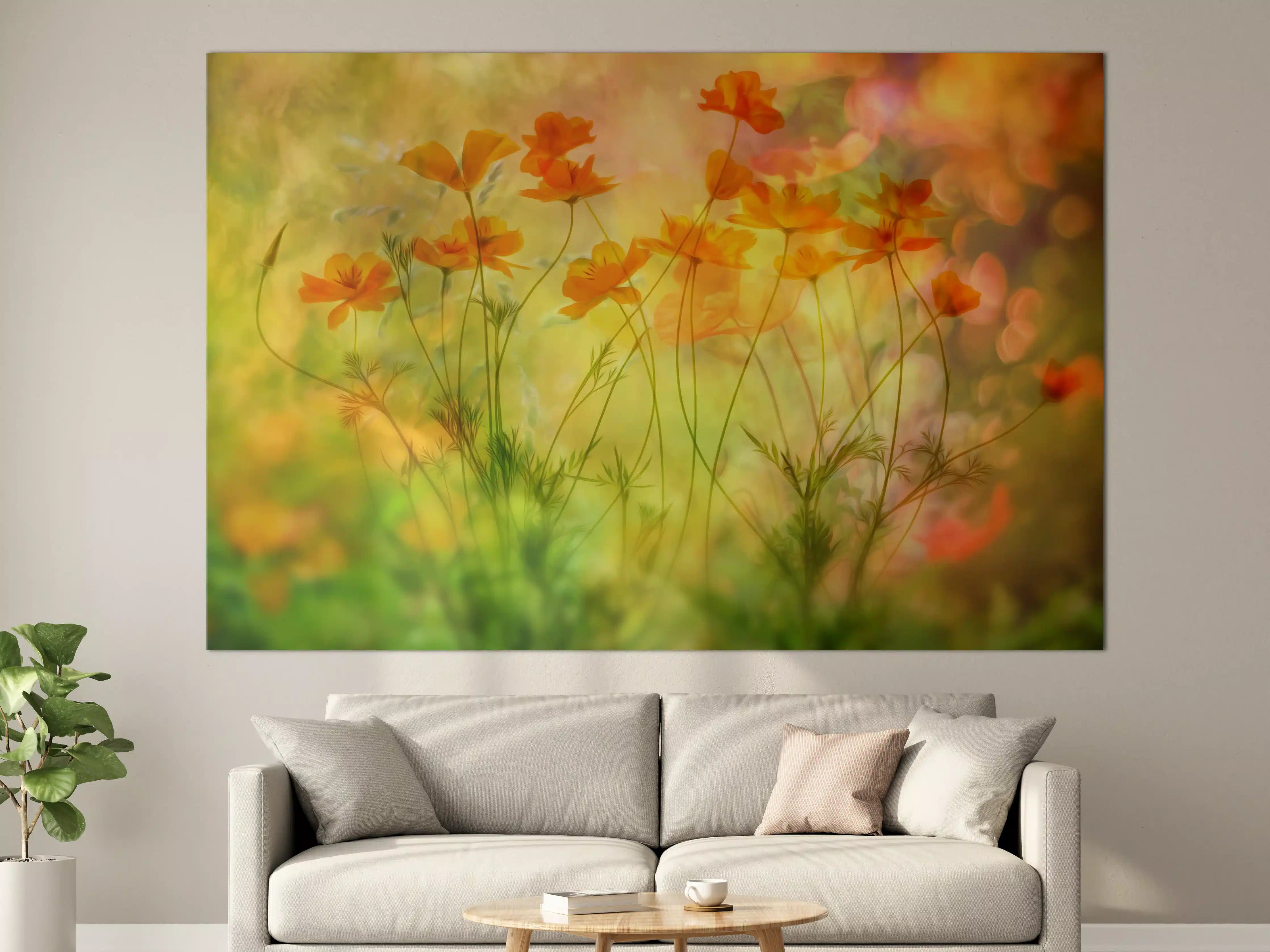 Große Wandbilder - Warme Sonnenuntergangs-Wildblumen