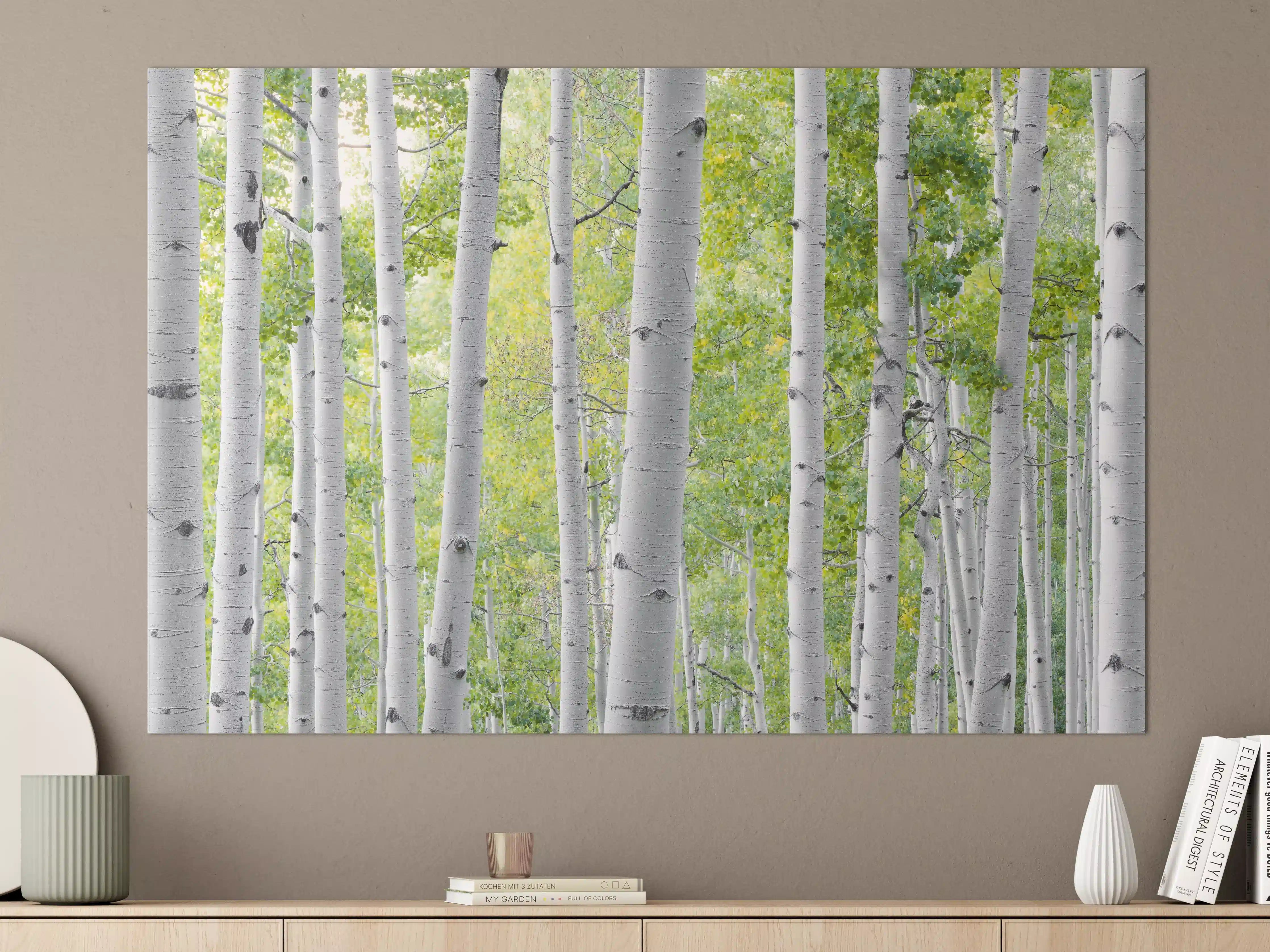 Große Wandbilder - Weiße Birken im grünen Wald