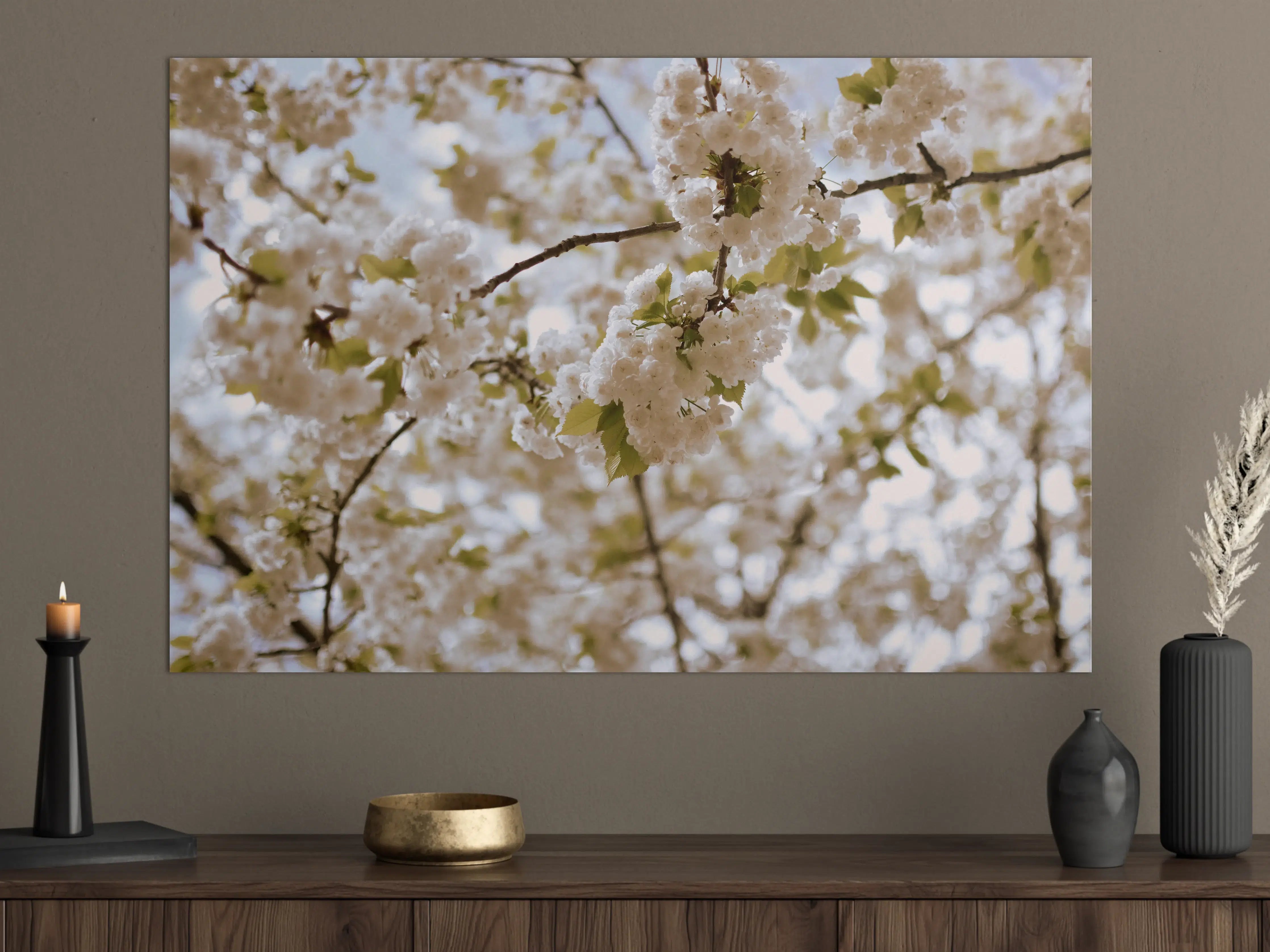 Große Wandbilder - Weiße Blüten im Frühlingslicht