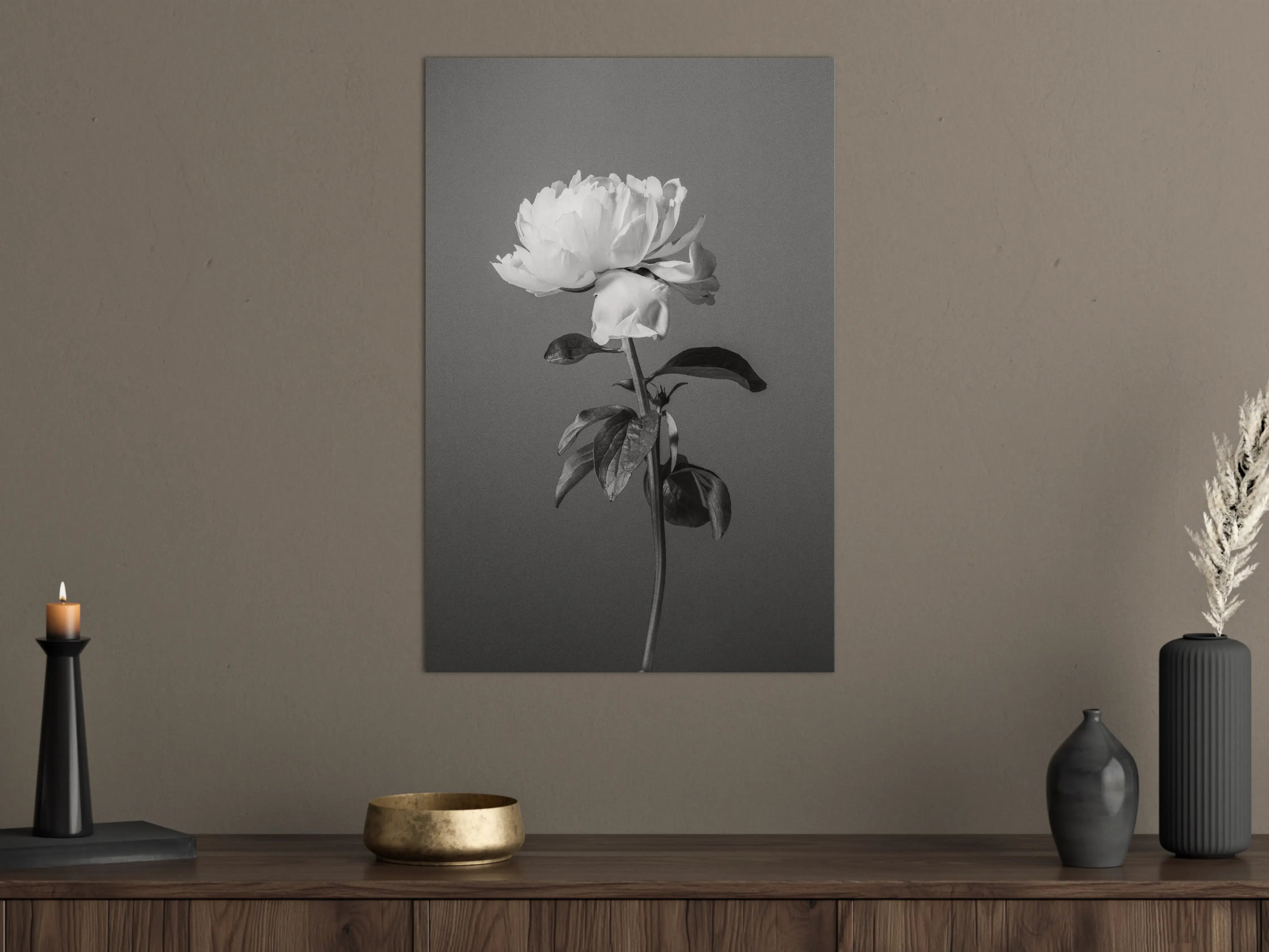 Große Wandbilder - Weiße Blume auf grauem Hintergrund