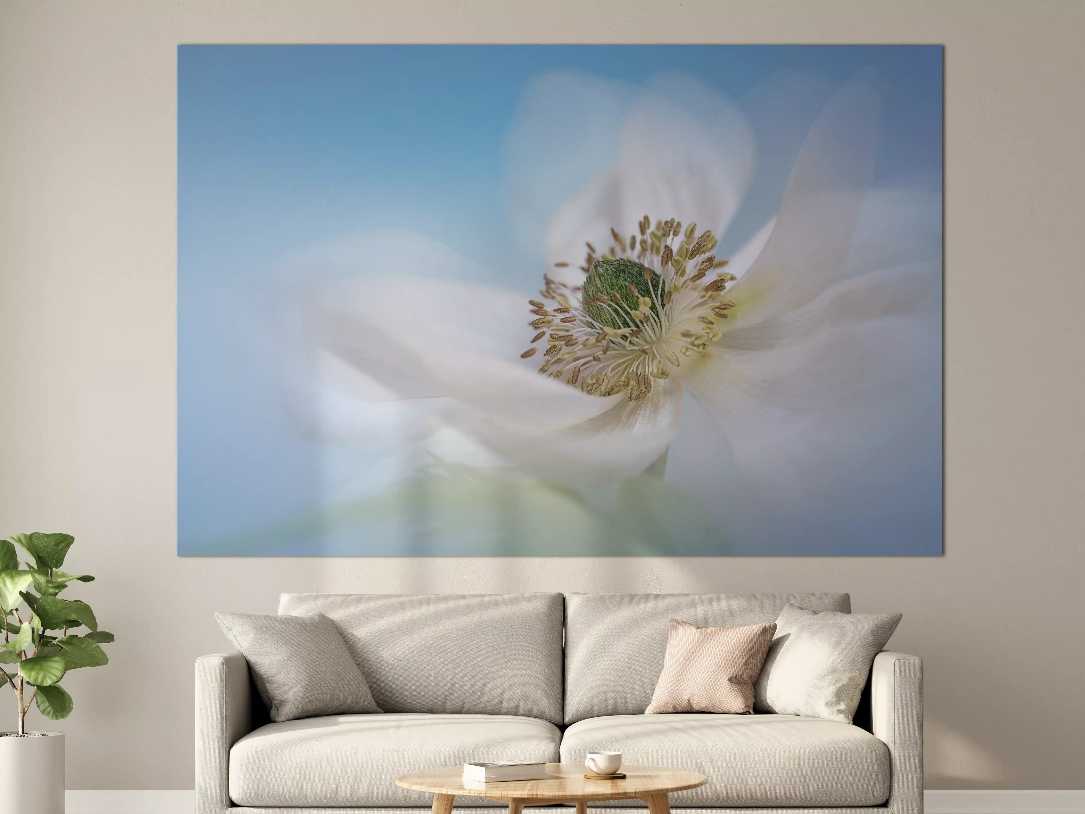 Große Wandbilder - Weiße Blume mit blauem Himmel