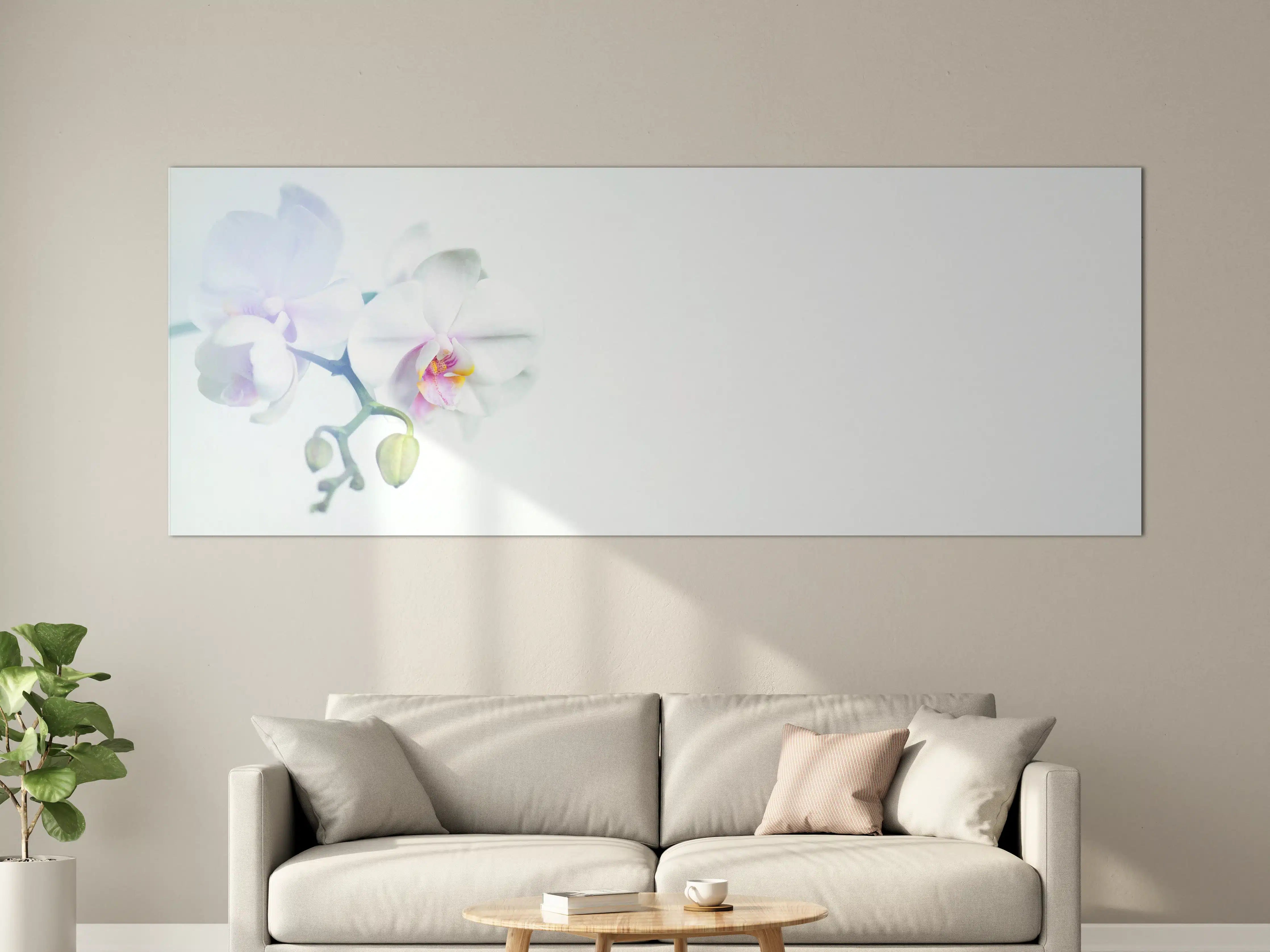 Große Wandbilder - Weiße Orchidee in Pastell