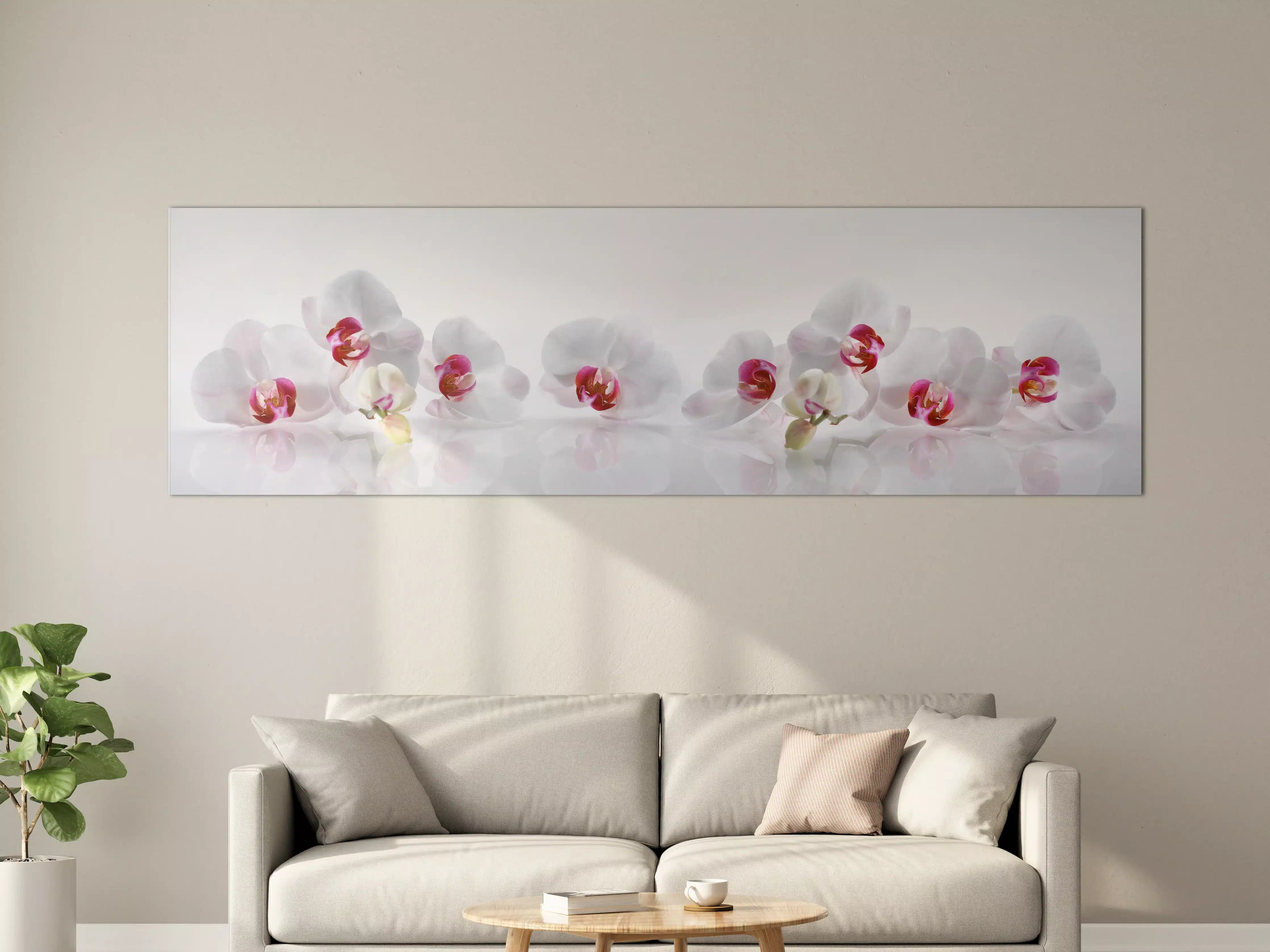 Große Wandbilder - Weiße Orchideen