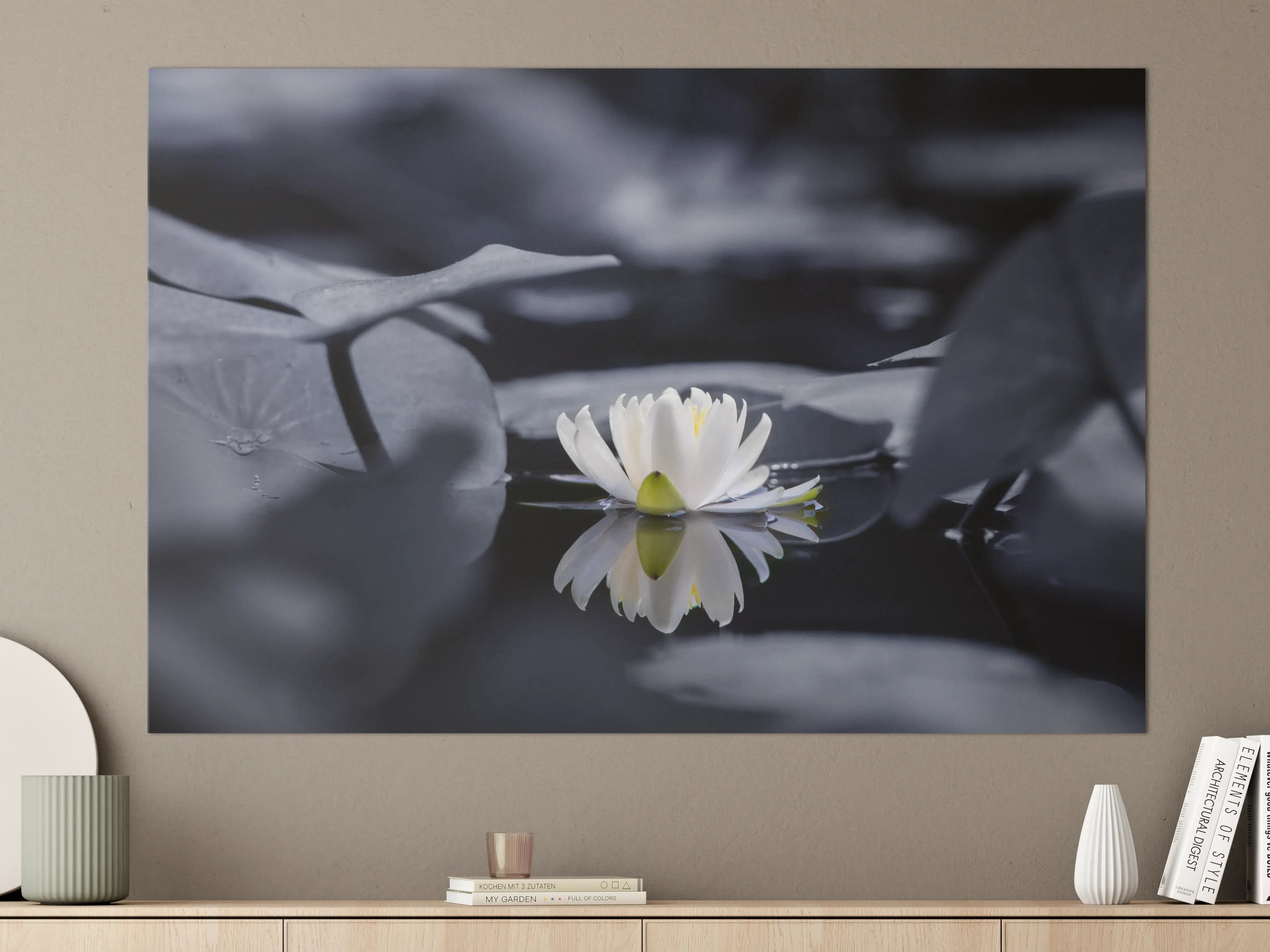 Große Wandbilder - Weiße Seerose auf dunklem Wasser