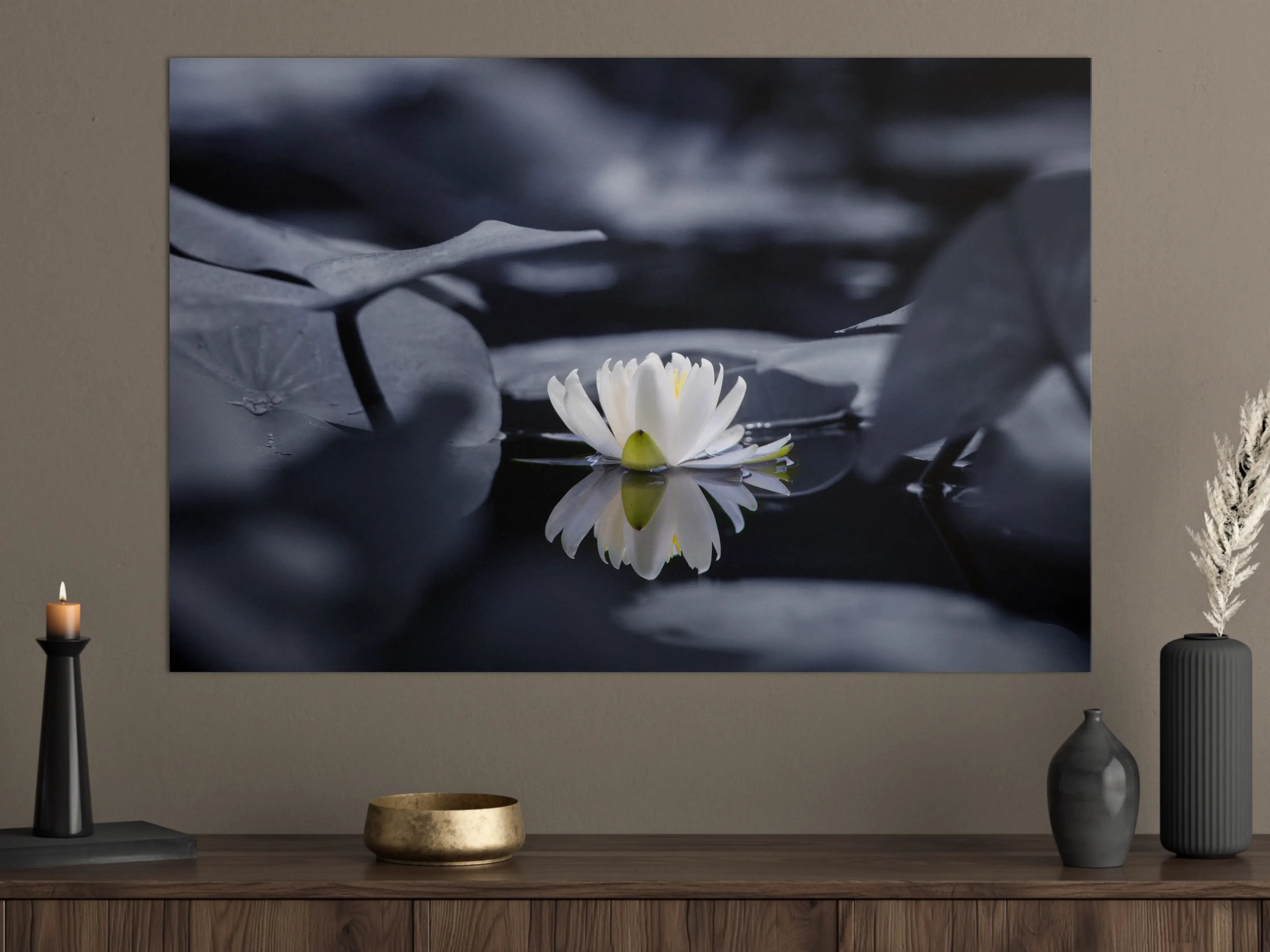 Große Wandbilder - Weiße Seerose auf dunklem Wasser