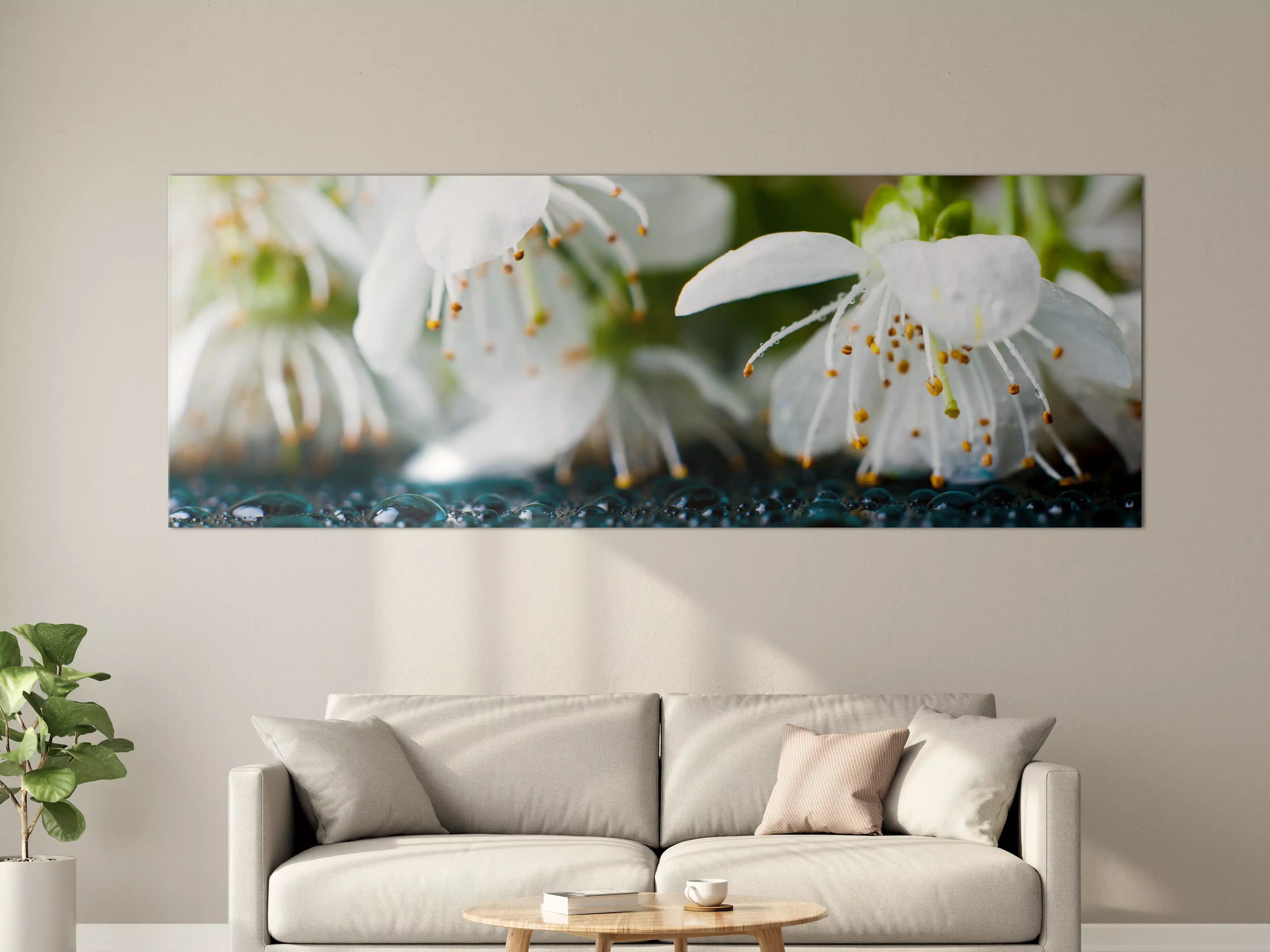 Große Wandbilder - Weiße blühende Frühlingsblumen