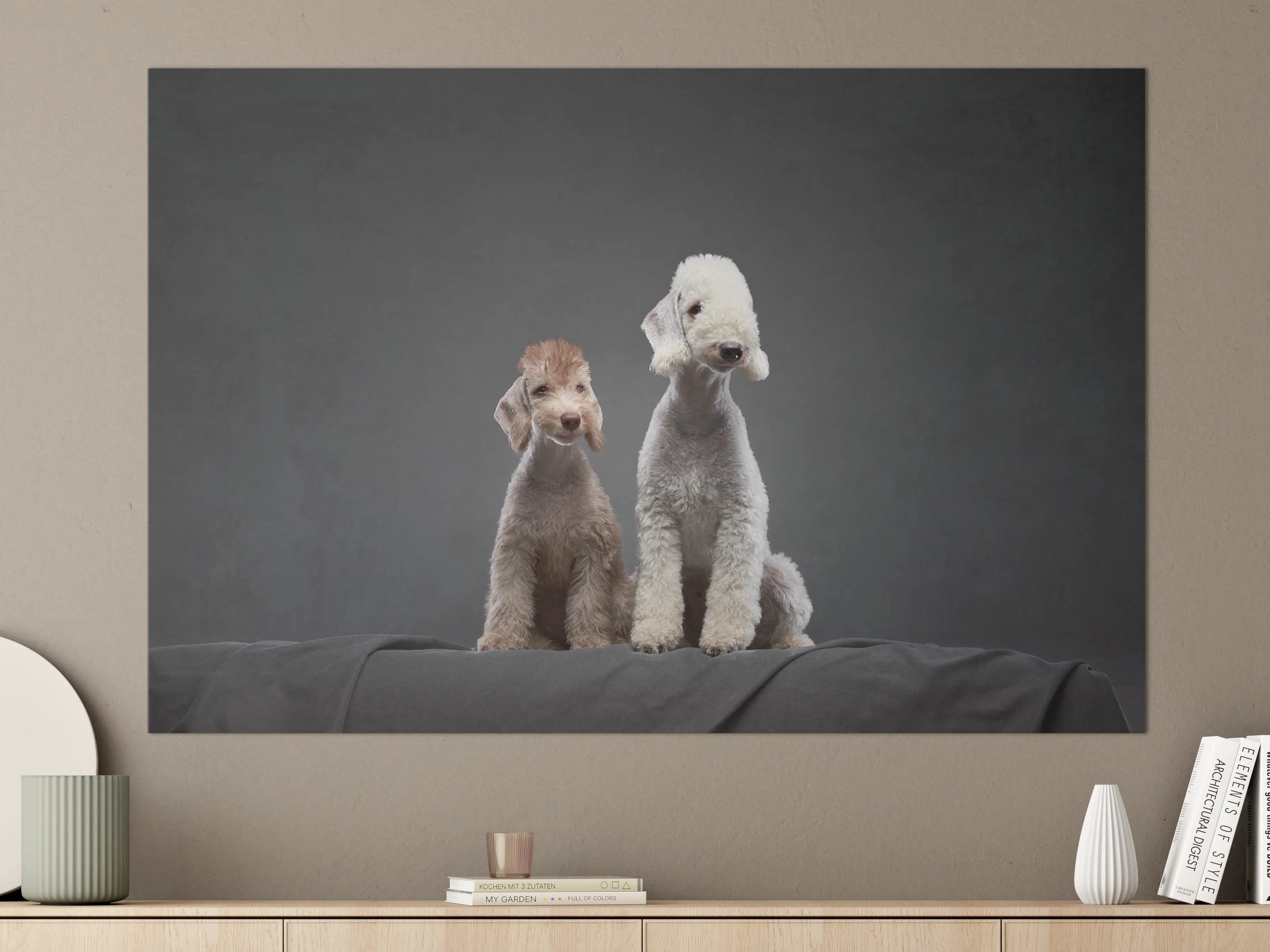 Große Wandbilder - Welpe und erwachsener Bedlington Terrier