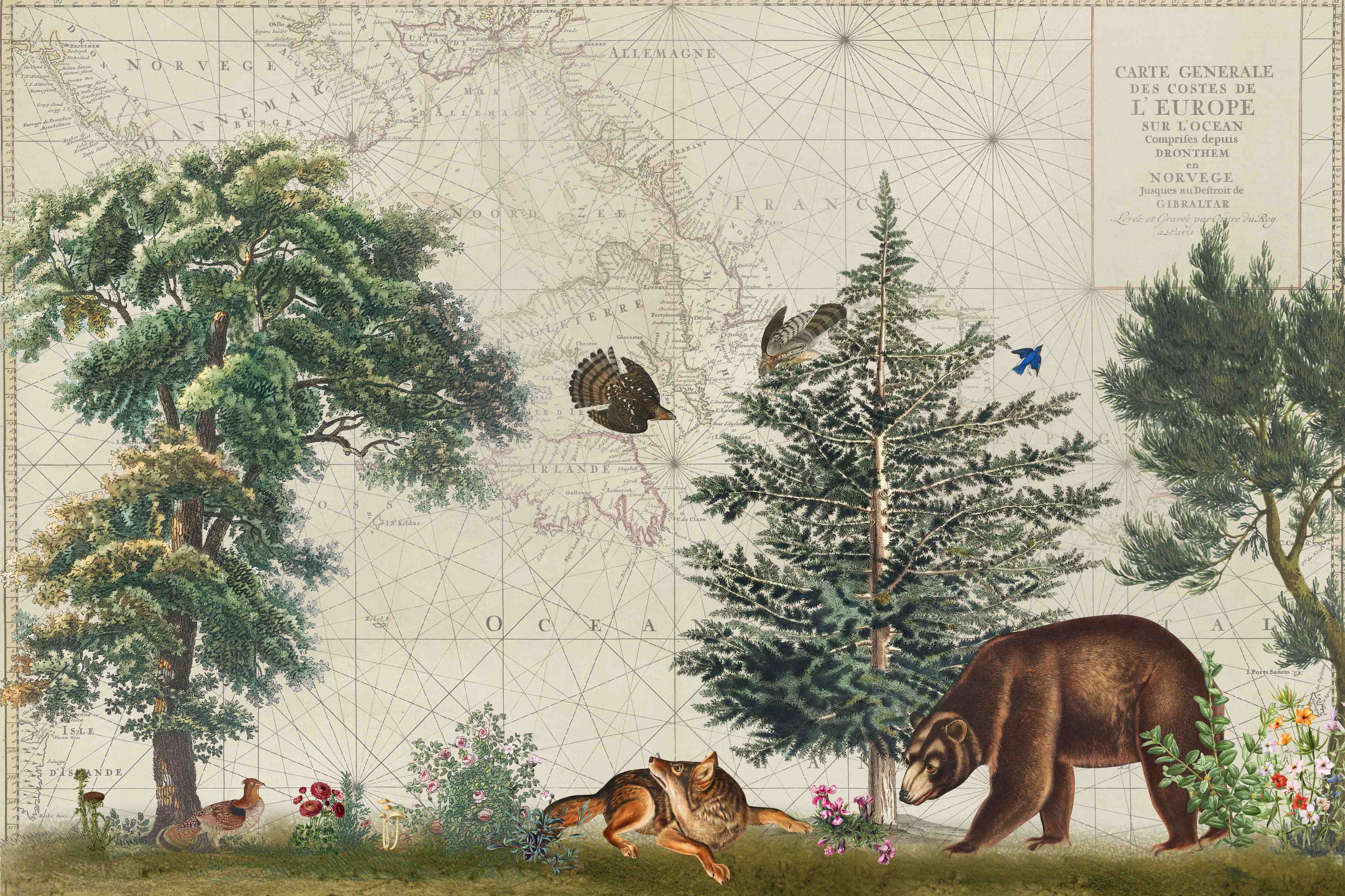 Große Wandbilder-Weltkarte mit tropischem Wald
