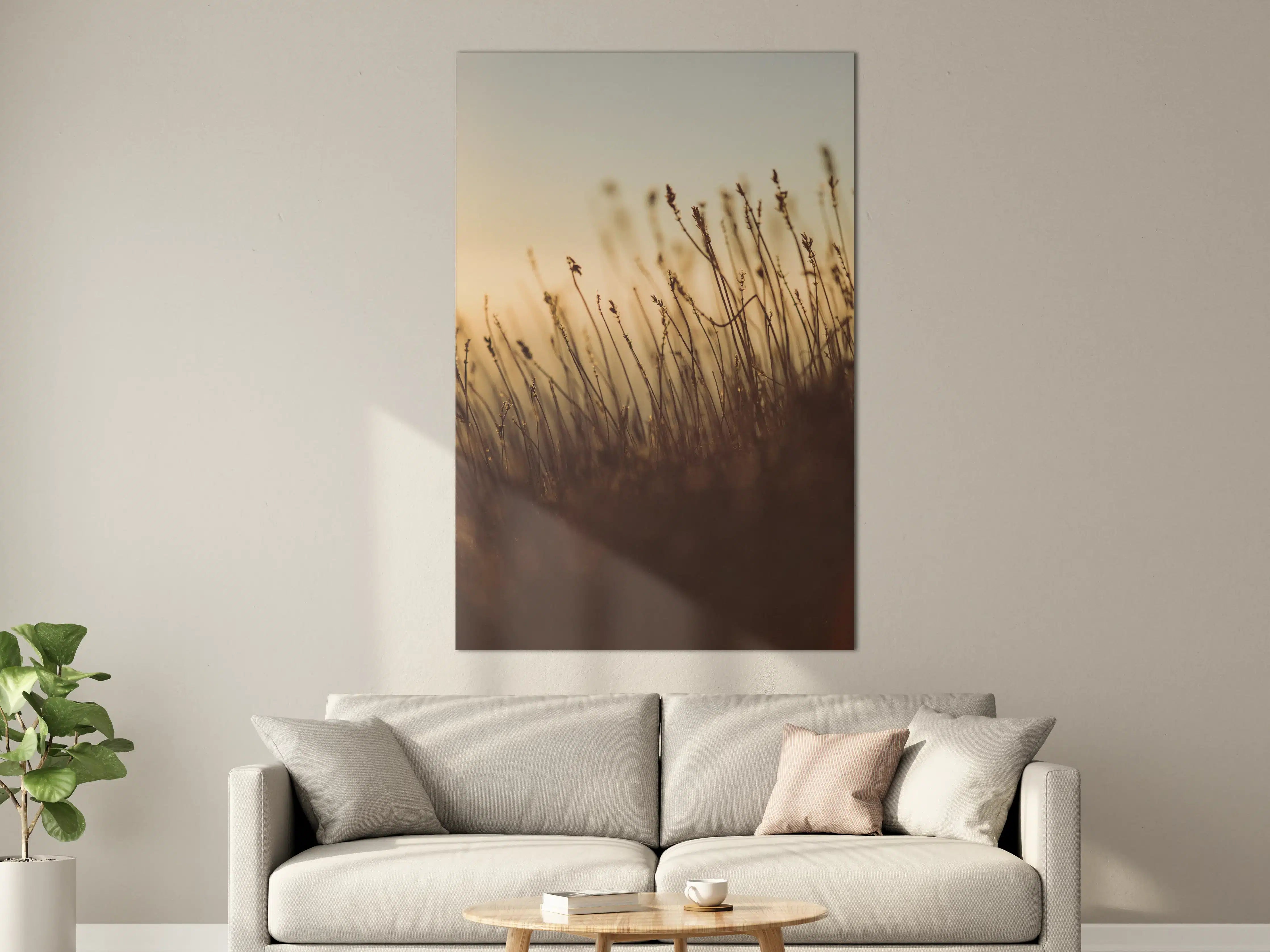 Große Wandbilder - Wiesen im Sonnenuntergang