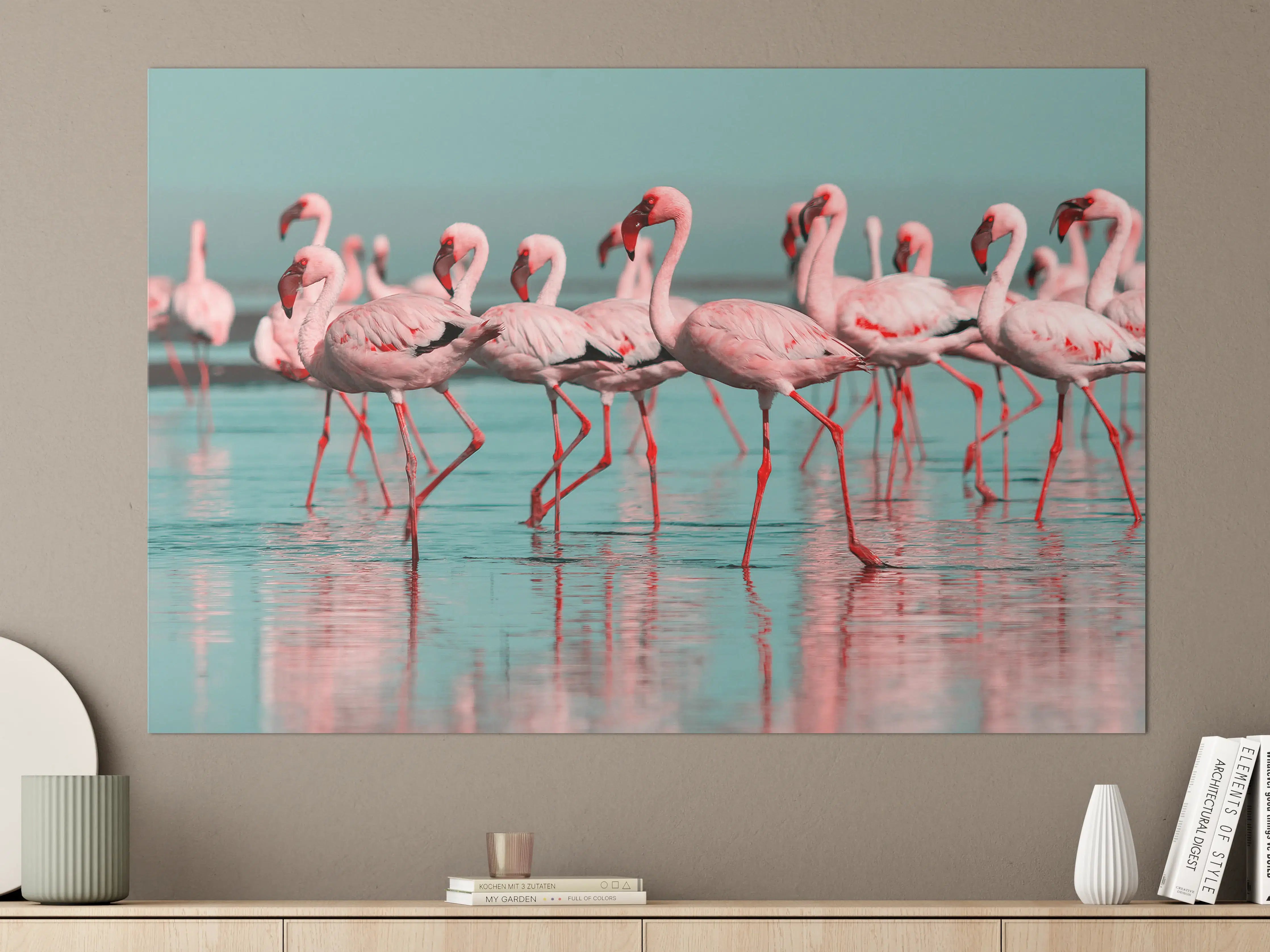 Große Wandbilder - Wilde Flamingo auf dem Wasser