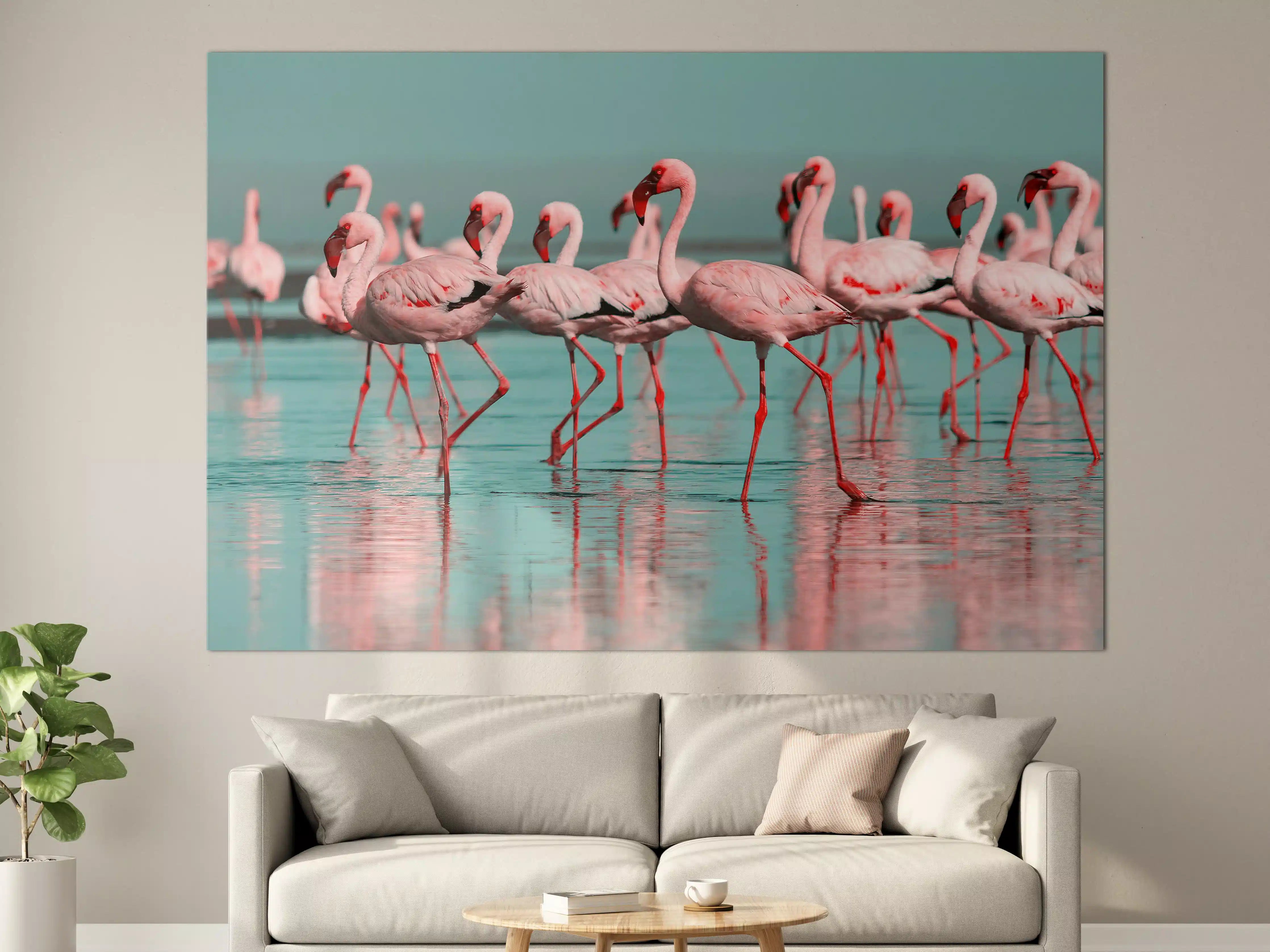 Große Wandbilder - Wilde Flamingo auf dem Wasser
