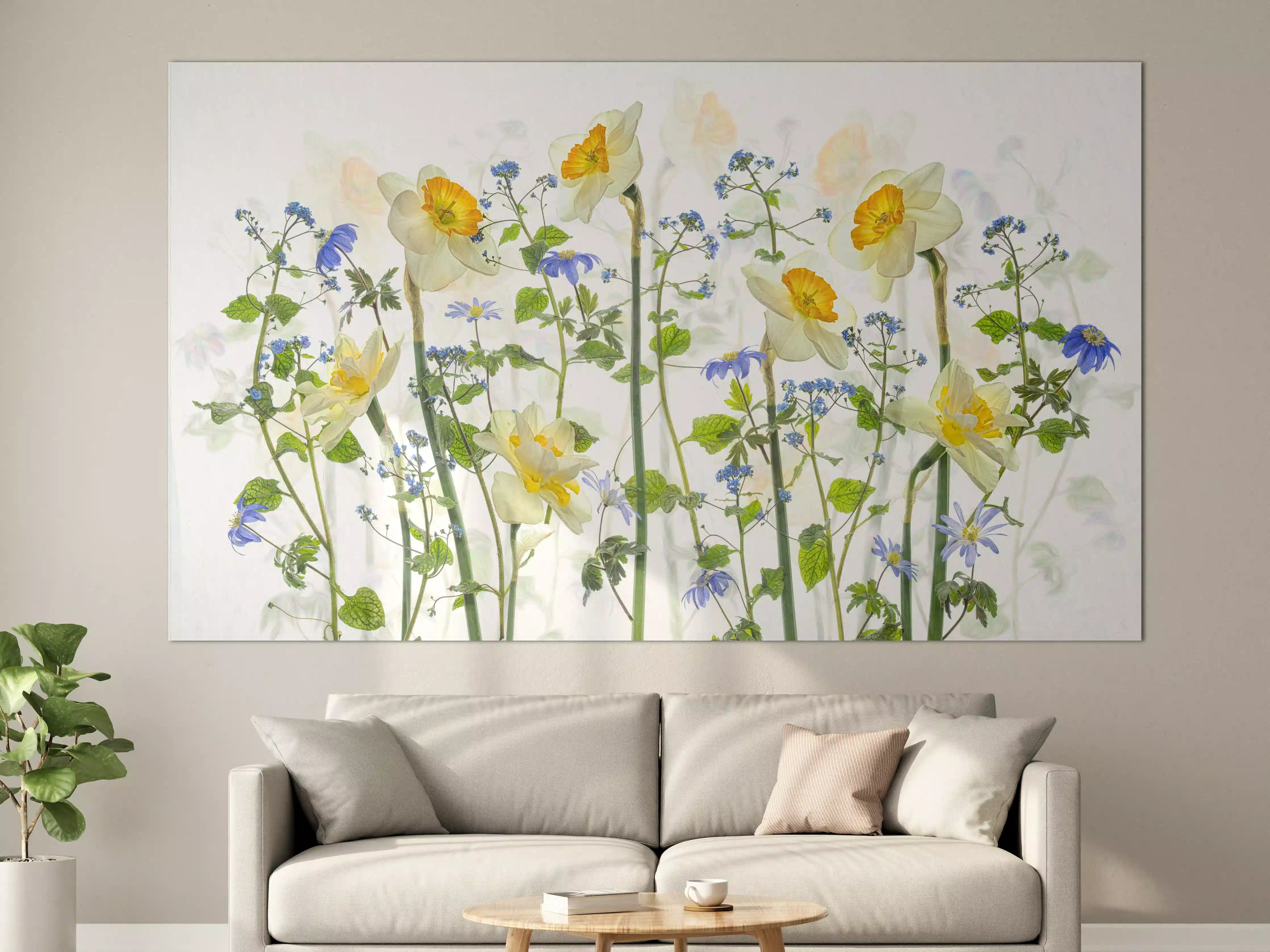 Große Wandbilder - Zarte Blumenwiese mit hellen Narzissen und blauen Blüten