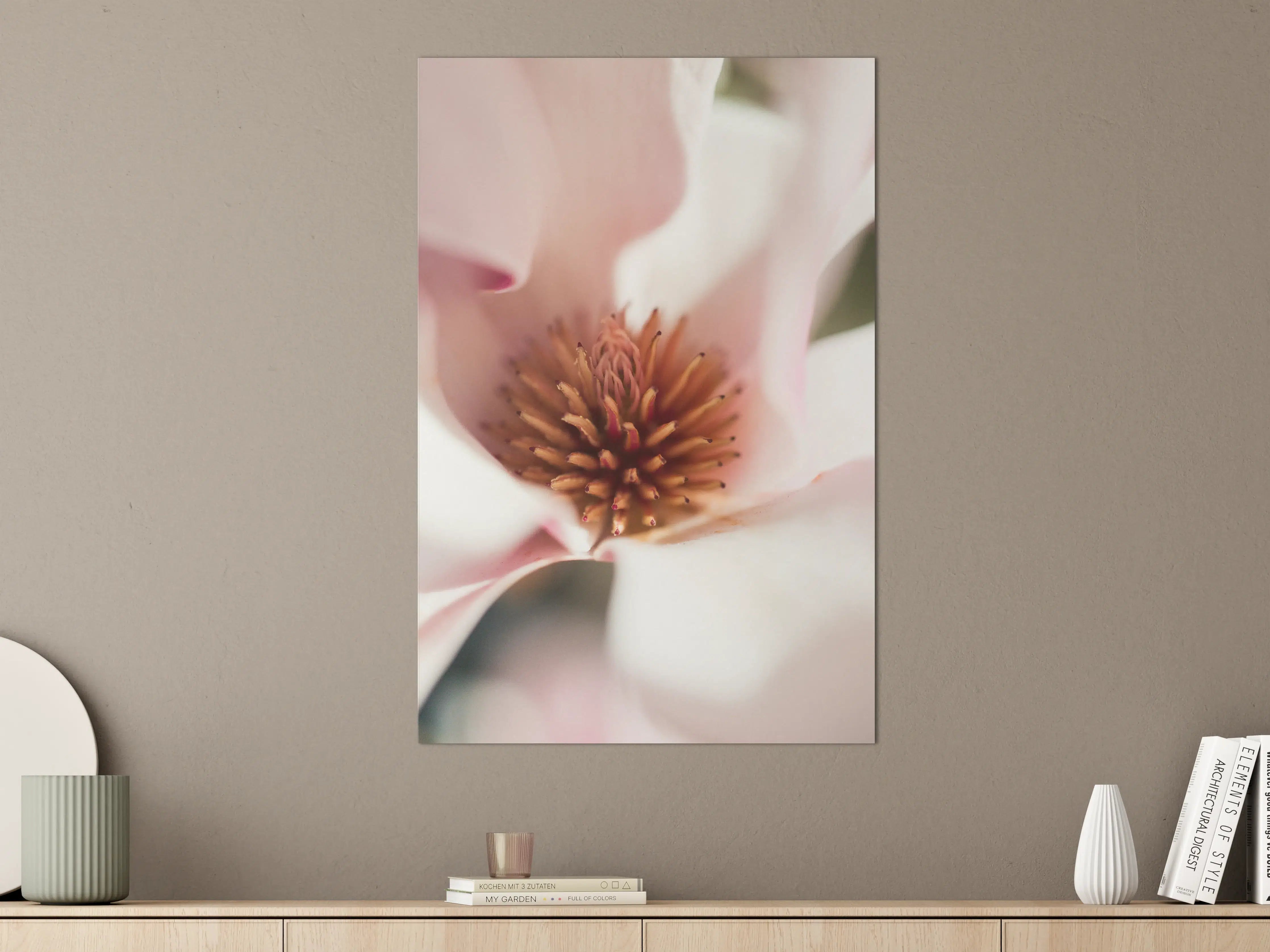 Große Wandbilder - Zarte Magnolia in Nahaufnahme