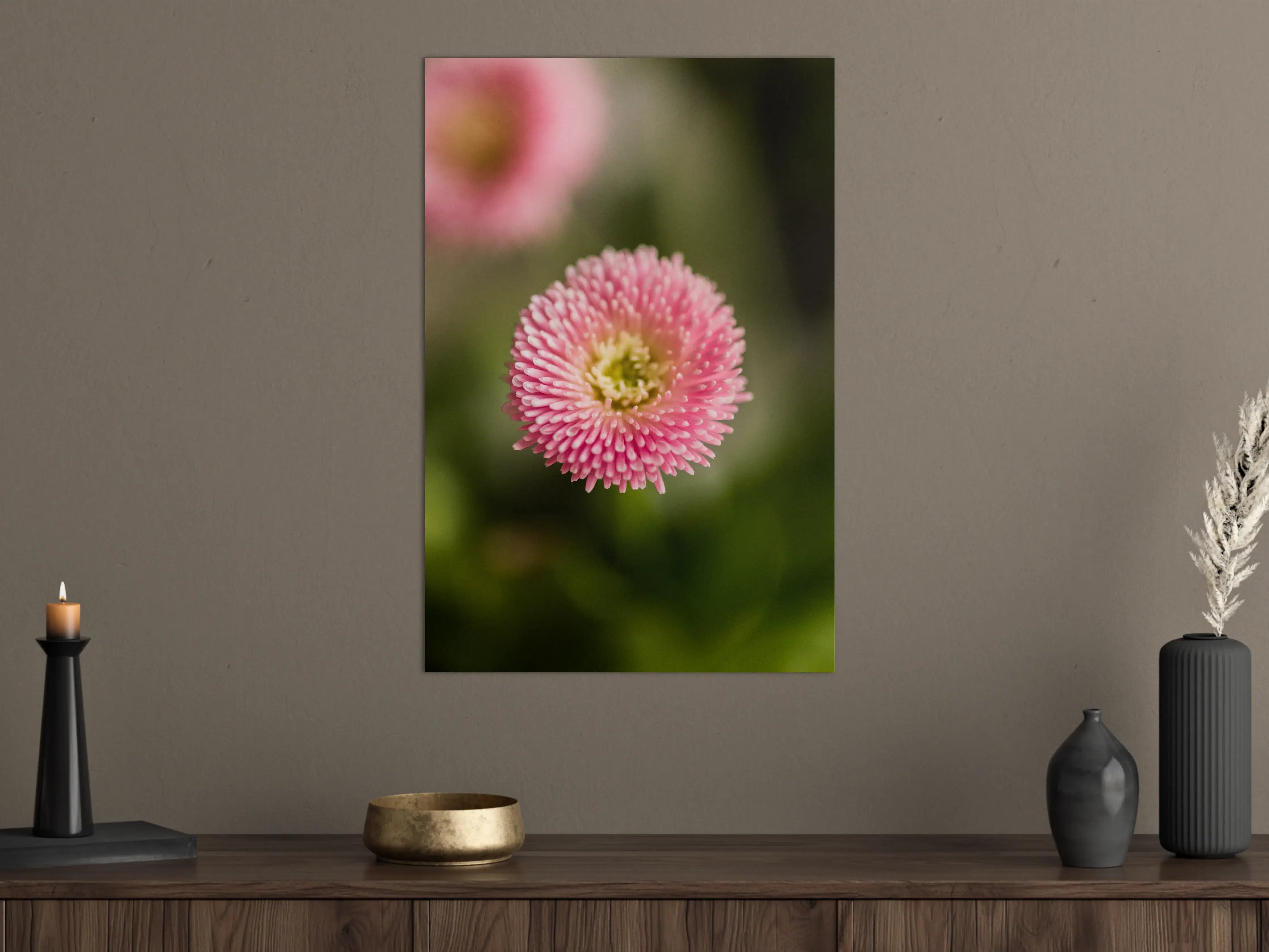 Große Wandbilder - Zarte pinke Blume im Nahaufnahme