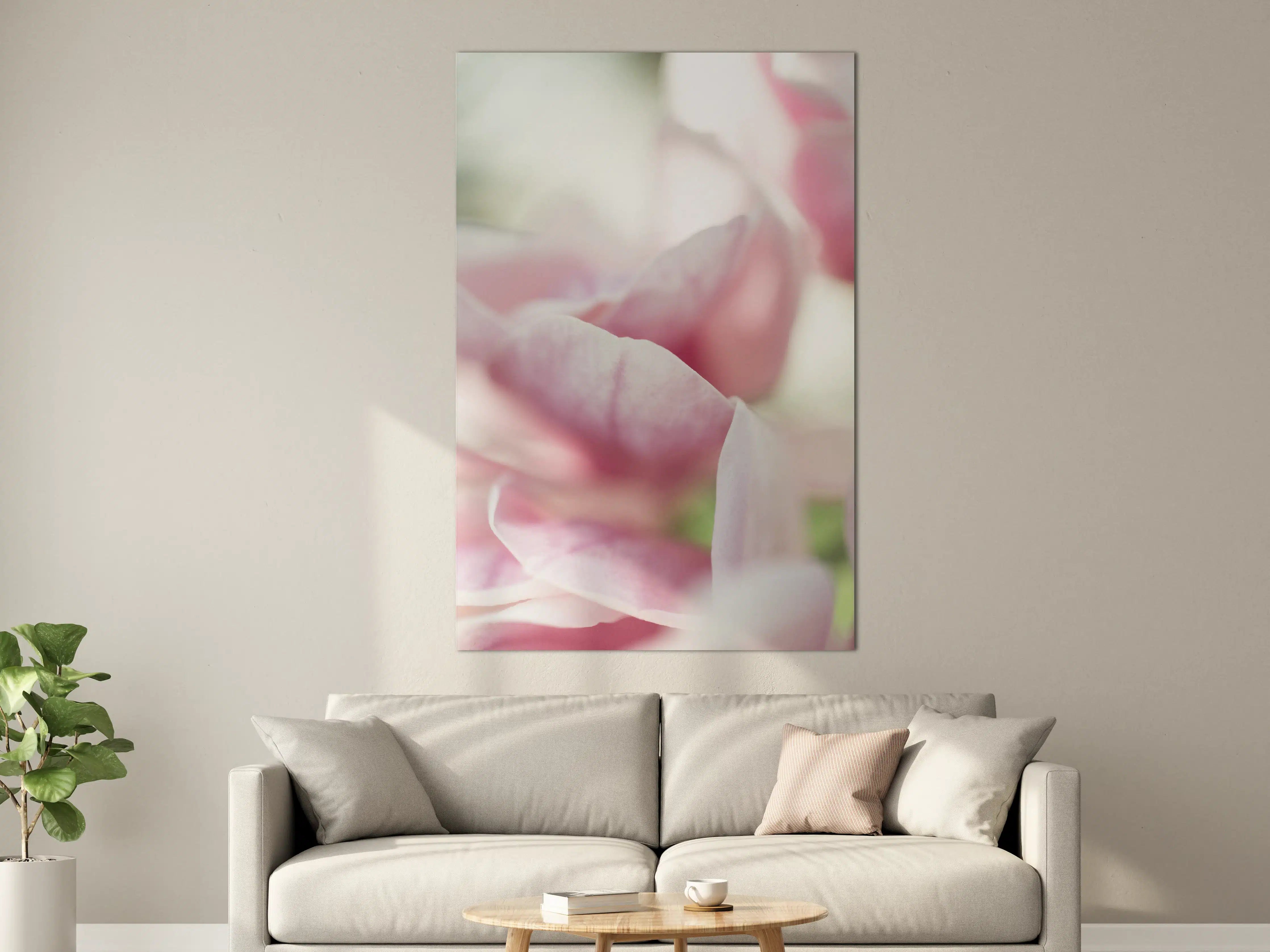 Große Wandbilder - Zarte pinke Rosenblüten in Nahaufnahme
