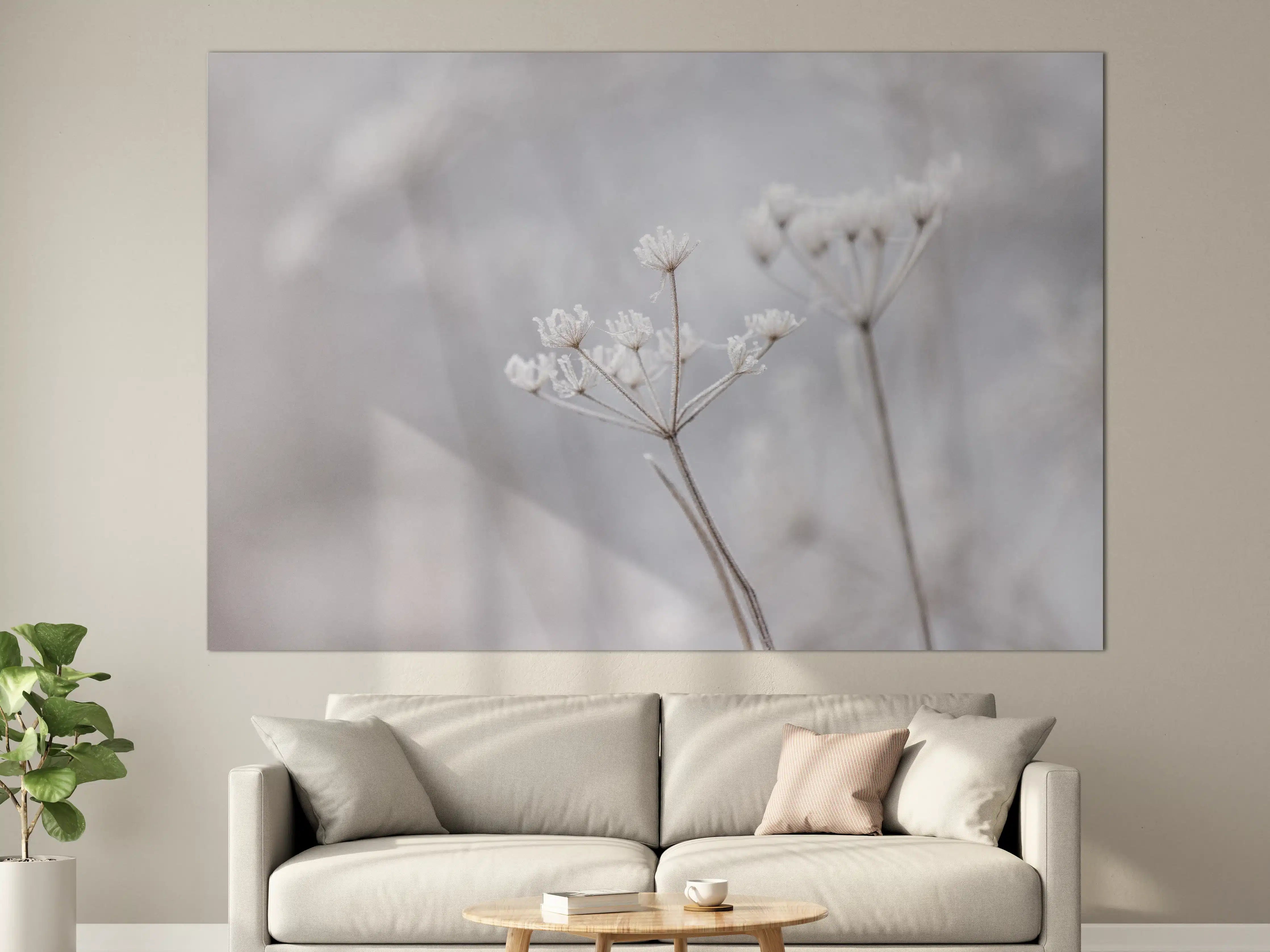 Große Wandbilder - Zartes Blumen-Detail in sanften Tönen