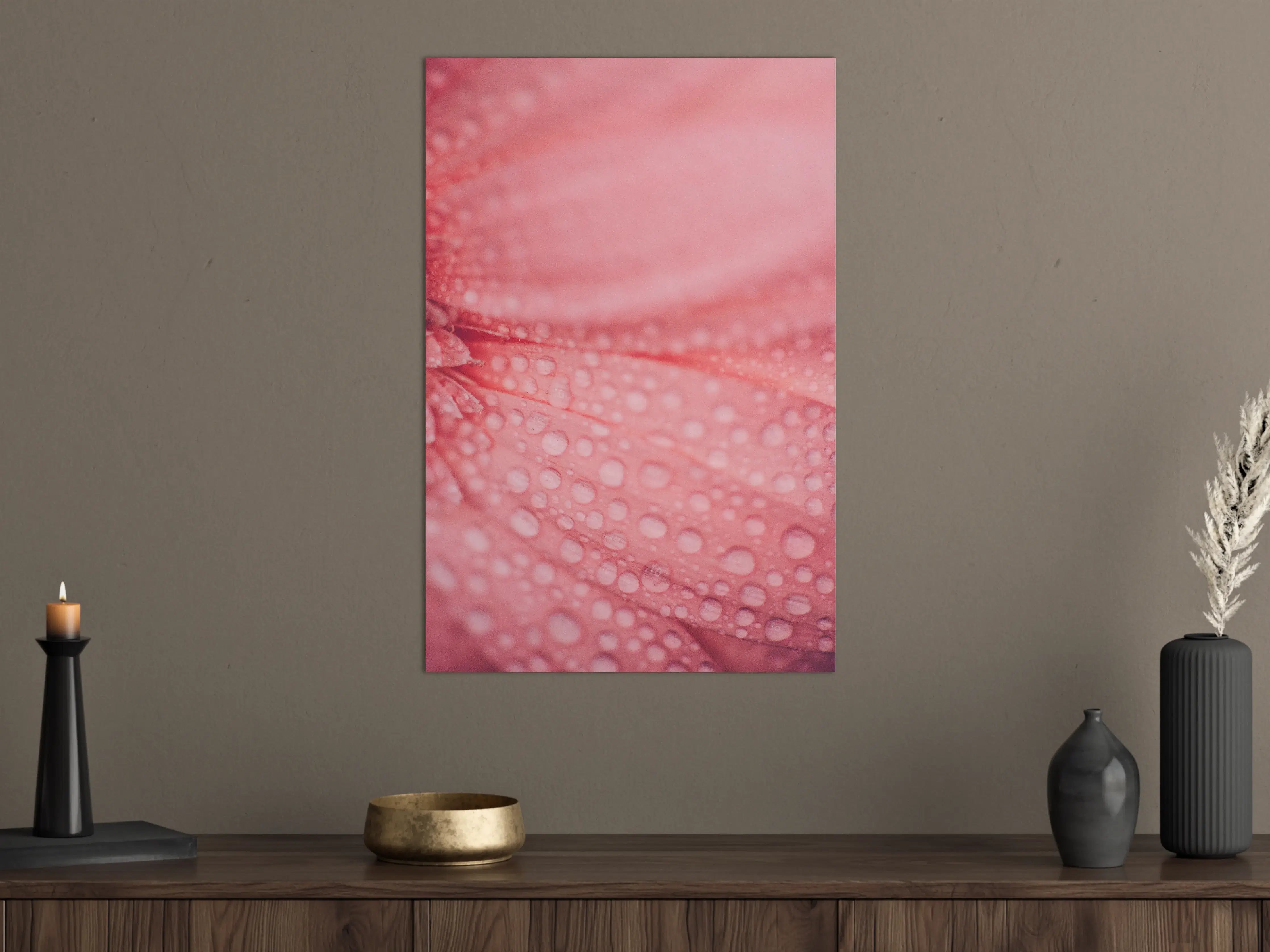 Große Wandbilder - Zartrosa Blumenblüte mit Wassertröpfchen