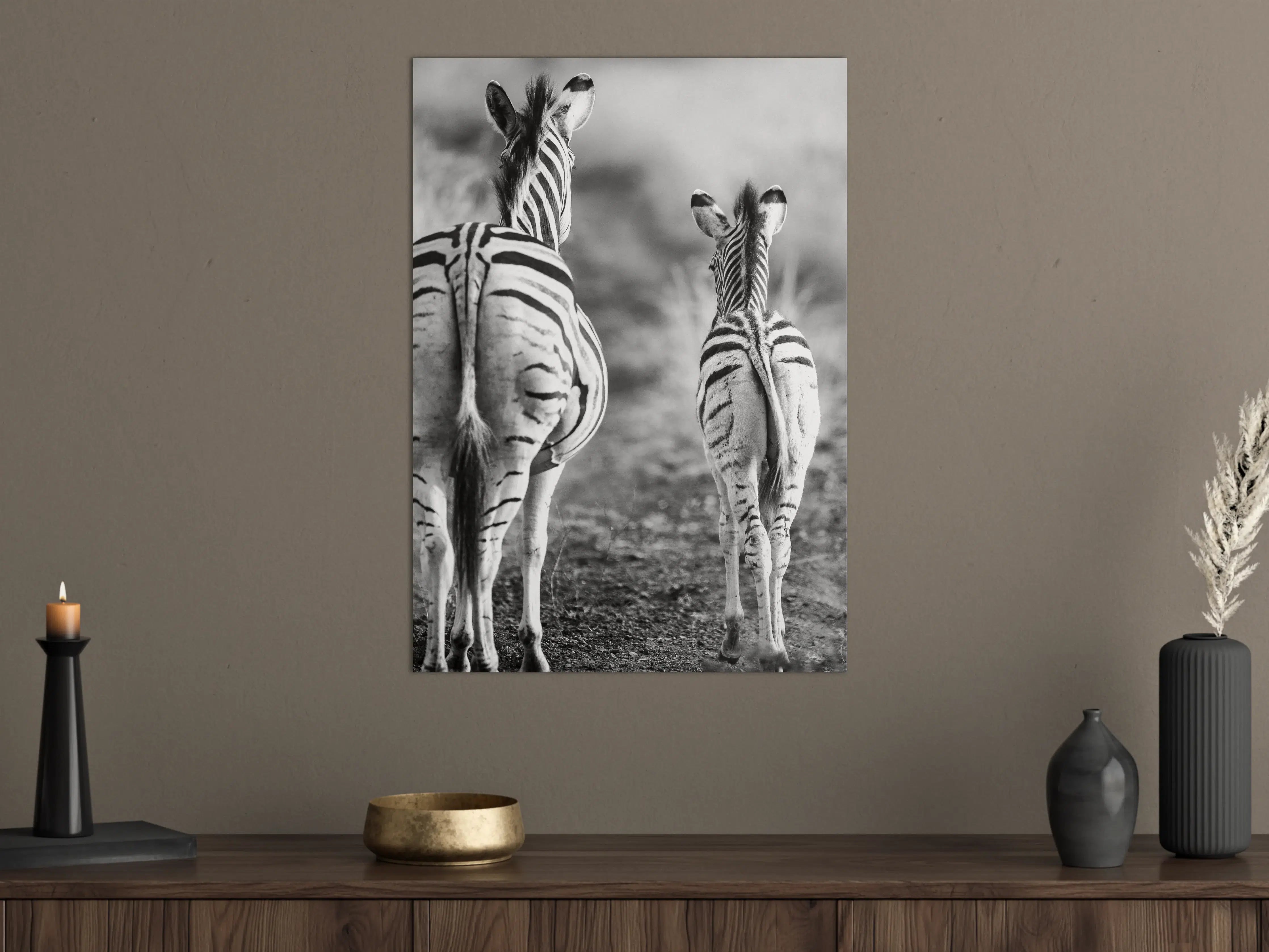 Große Wandbilder - Zebra - schwarz-weiß