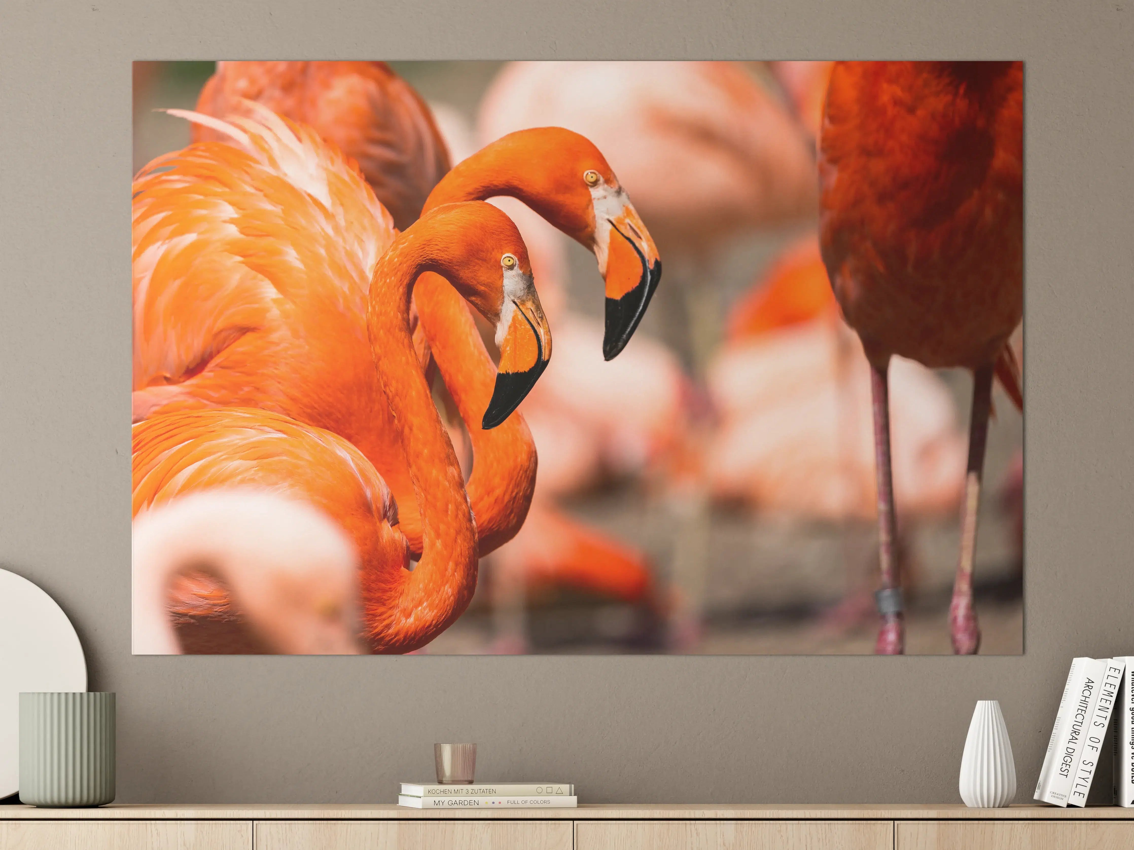Große Wandbilder - Zwei Flamingos in der Herde