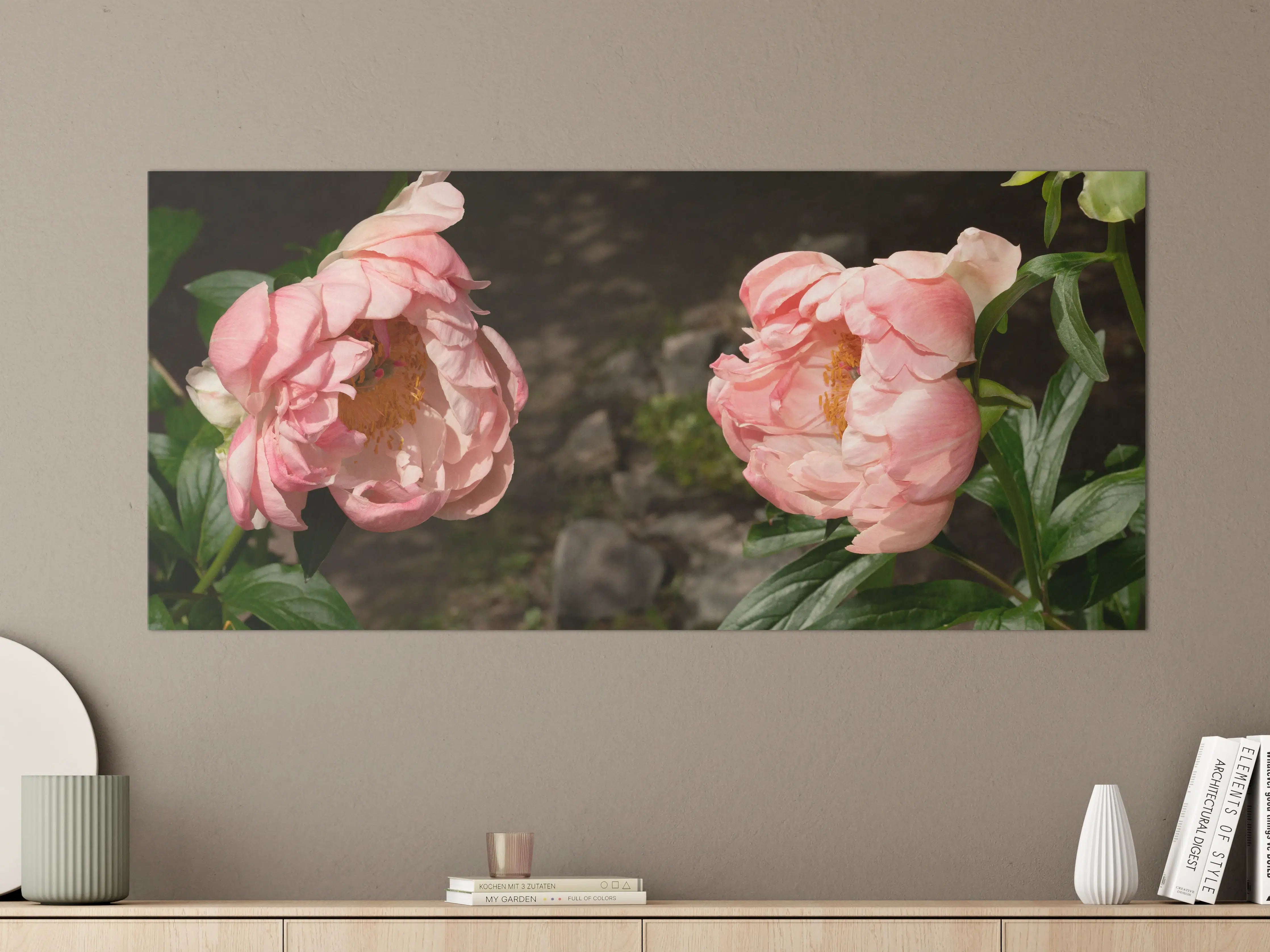 Große Wandbilder - Zwei rosa Pfingstrosen in einem alten Garten.