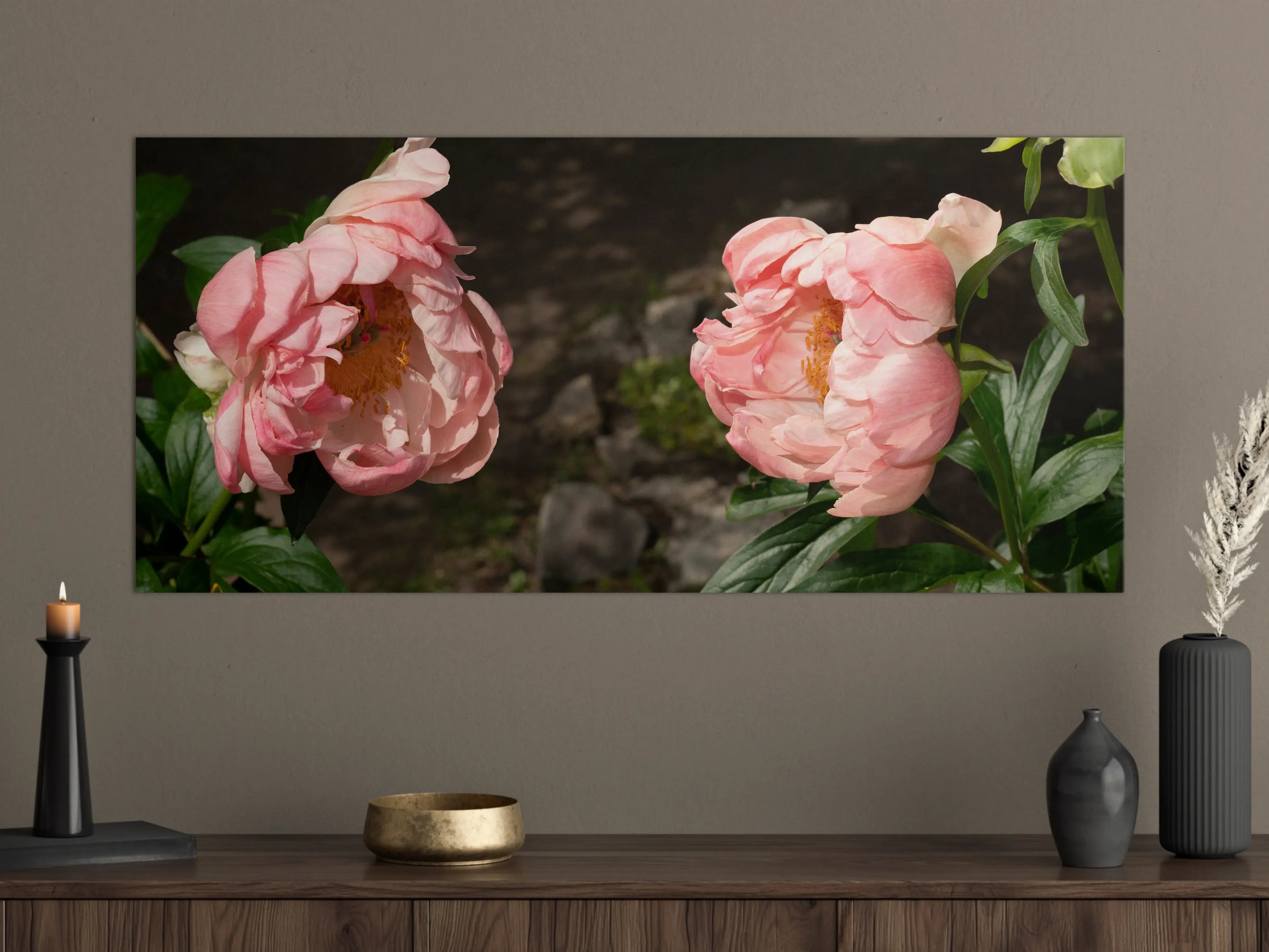 Große Wandbilder - Zwei rosa Pfingstrosen in einem alten Garten.