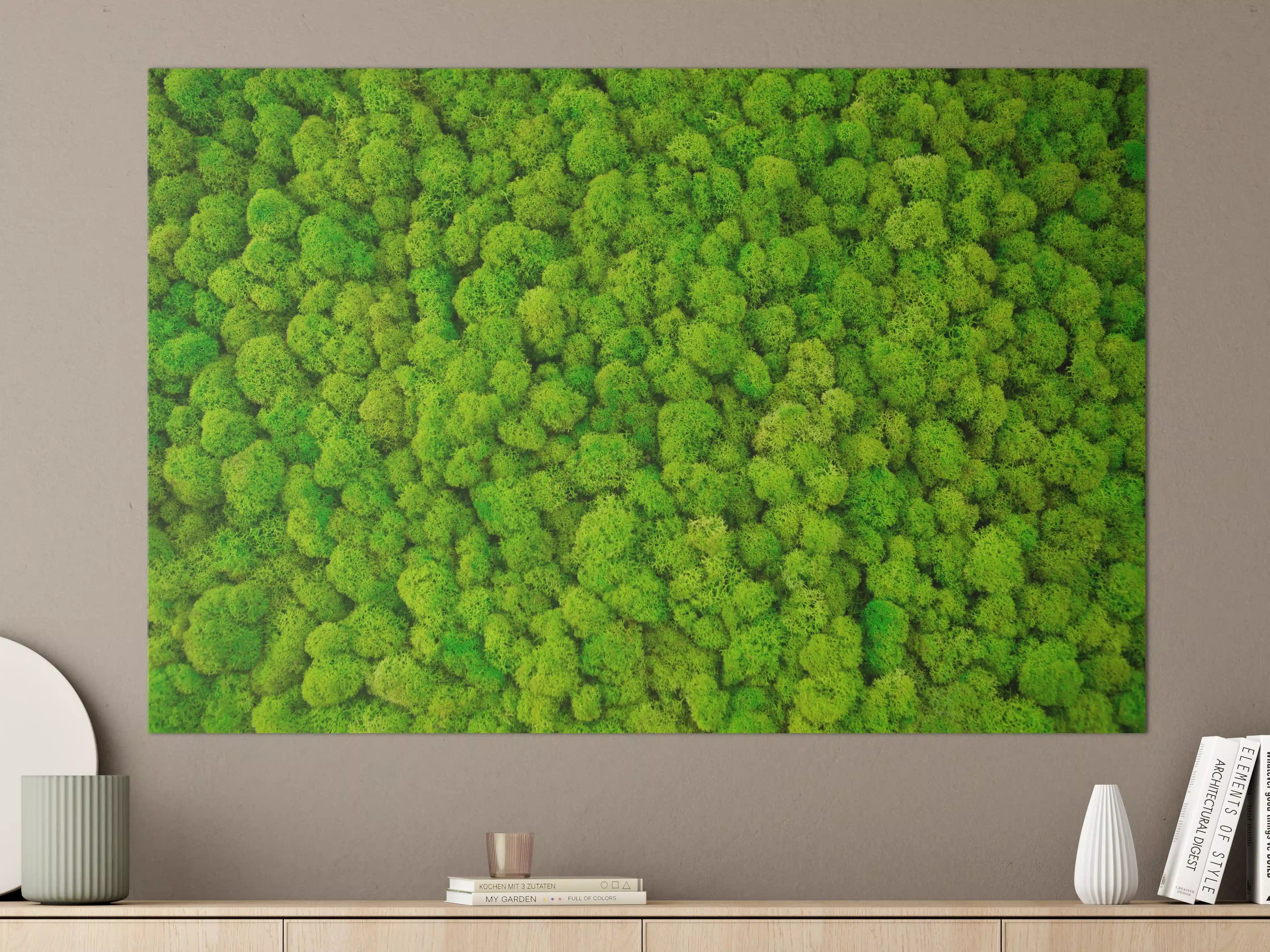 Große Wandbilder - dekoratives Moos Design