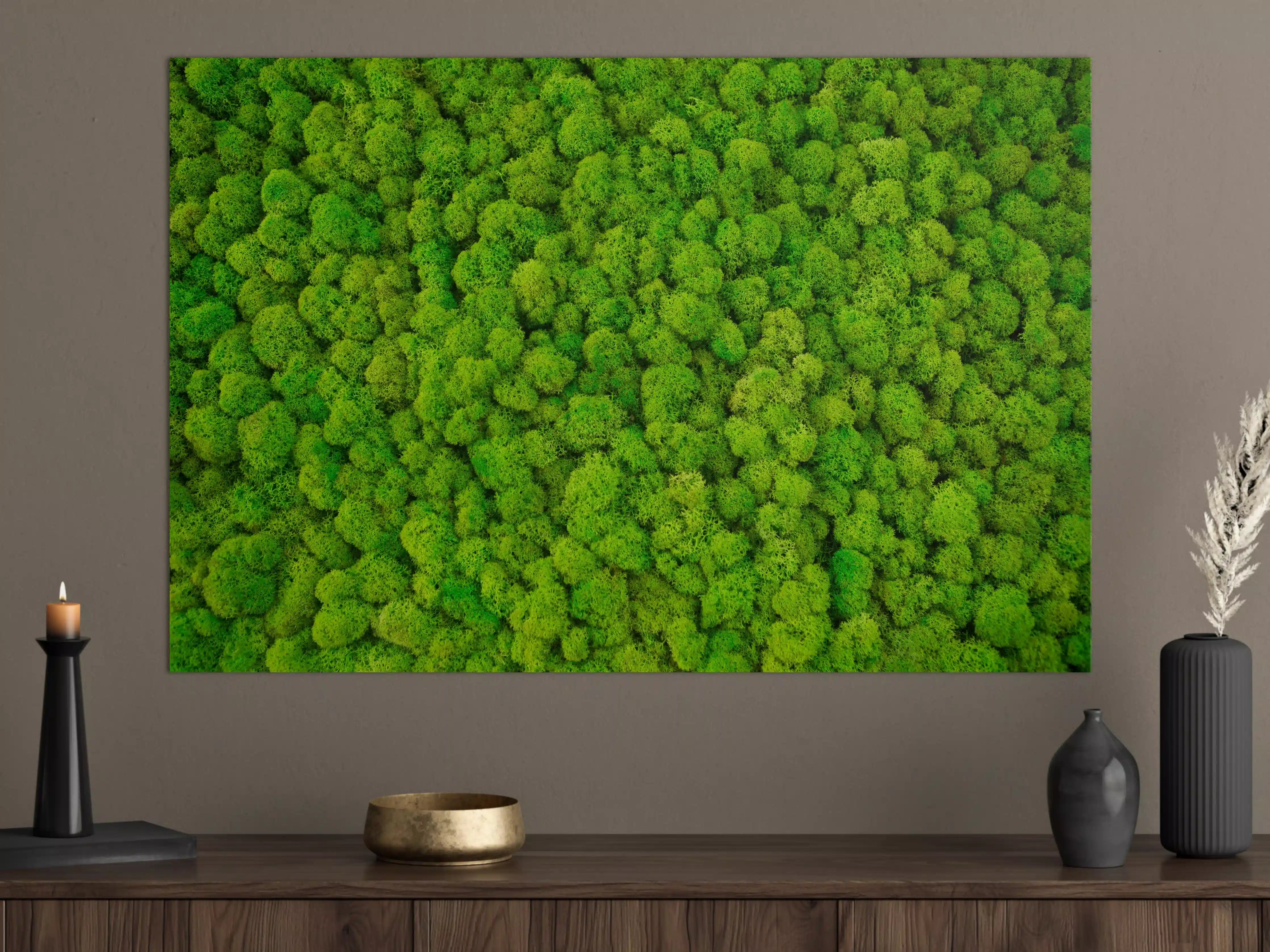 Große Wandbilder - dekoratives Moos Design