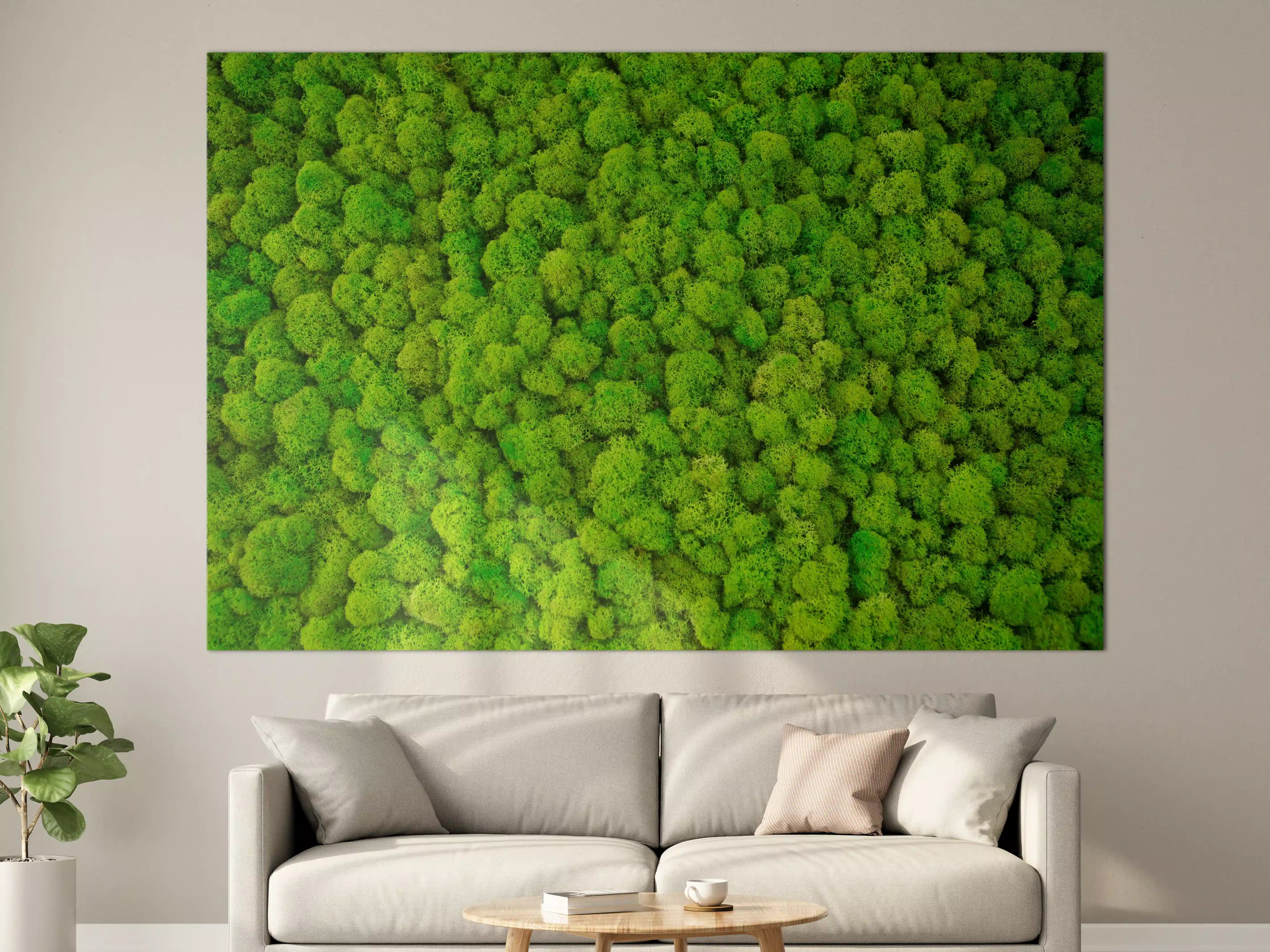 Große Wandbilder - dekoratives Moos Design