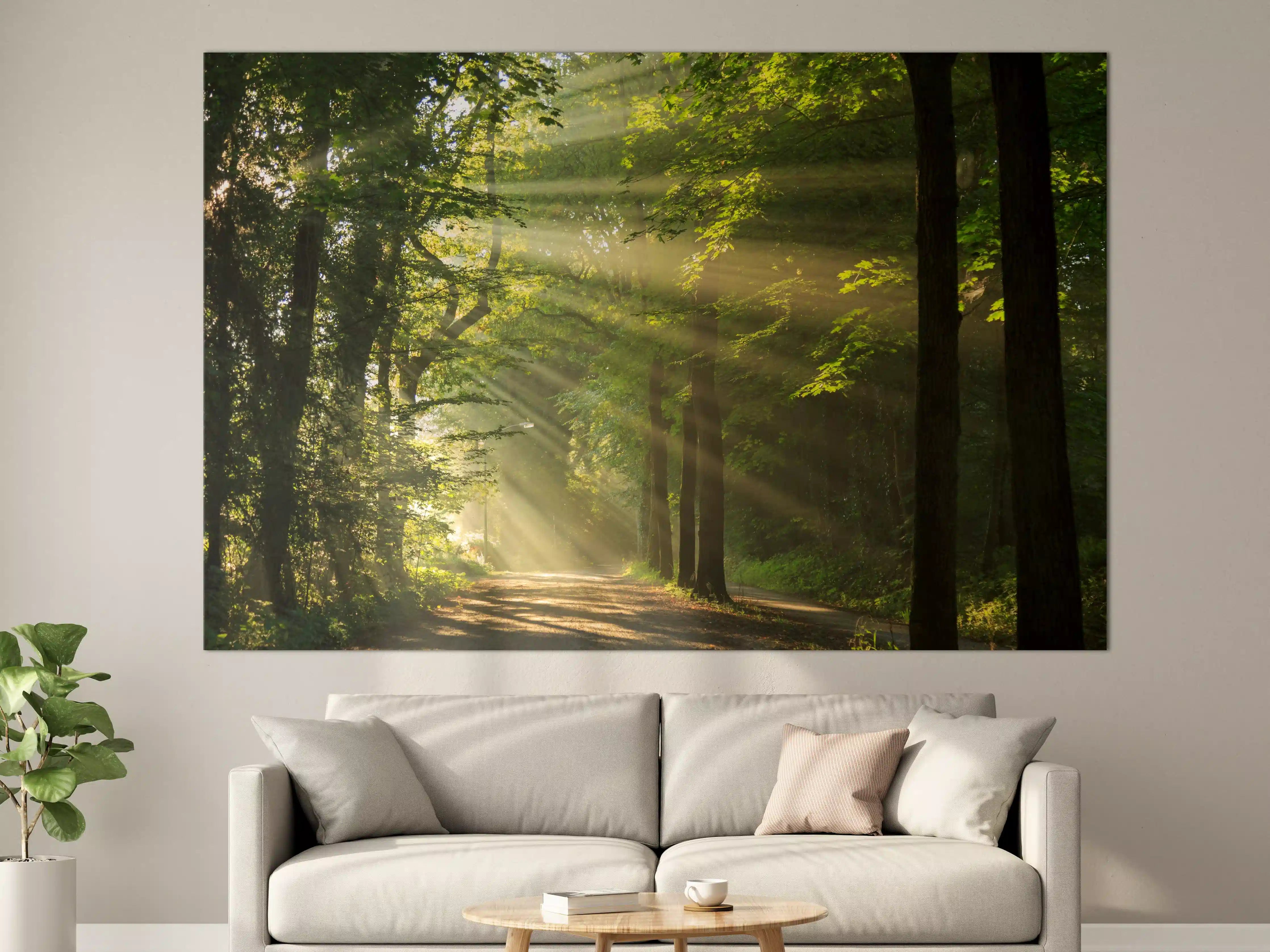 Große Wandbilder - erleuchtende Sonnenstrahlen in den Wald