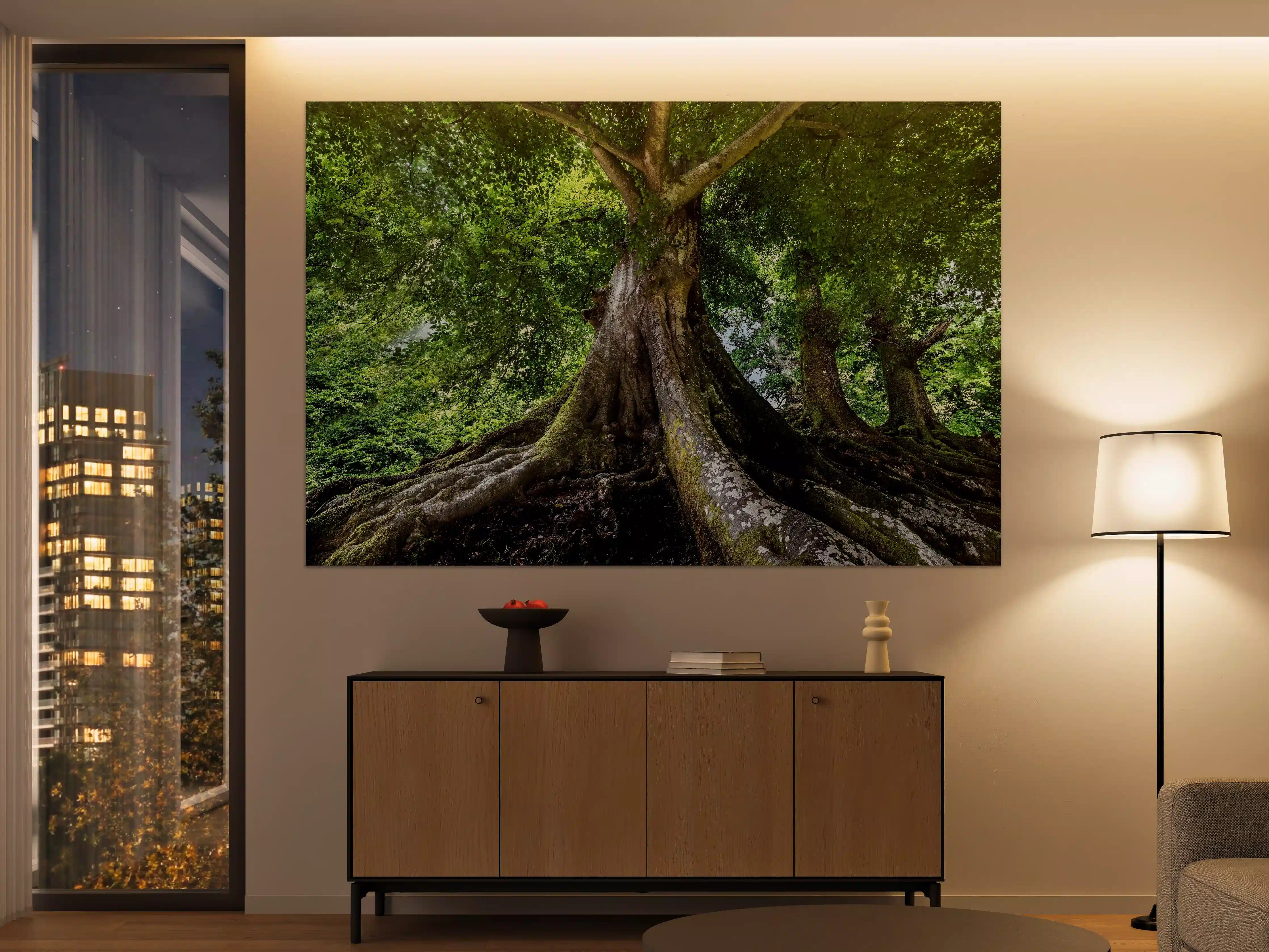 Große Wandbilder - großer alter Baum in Froschperspektive