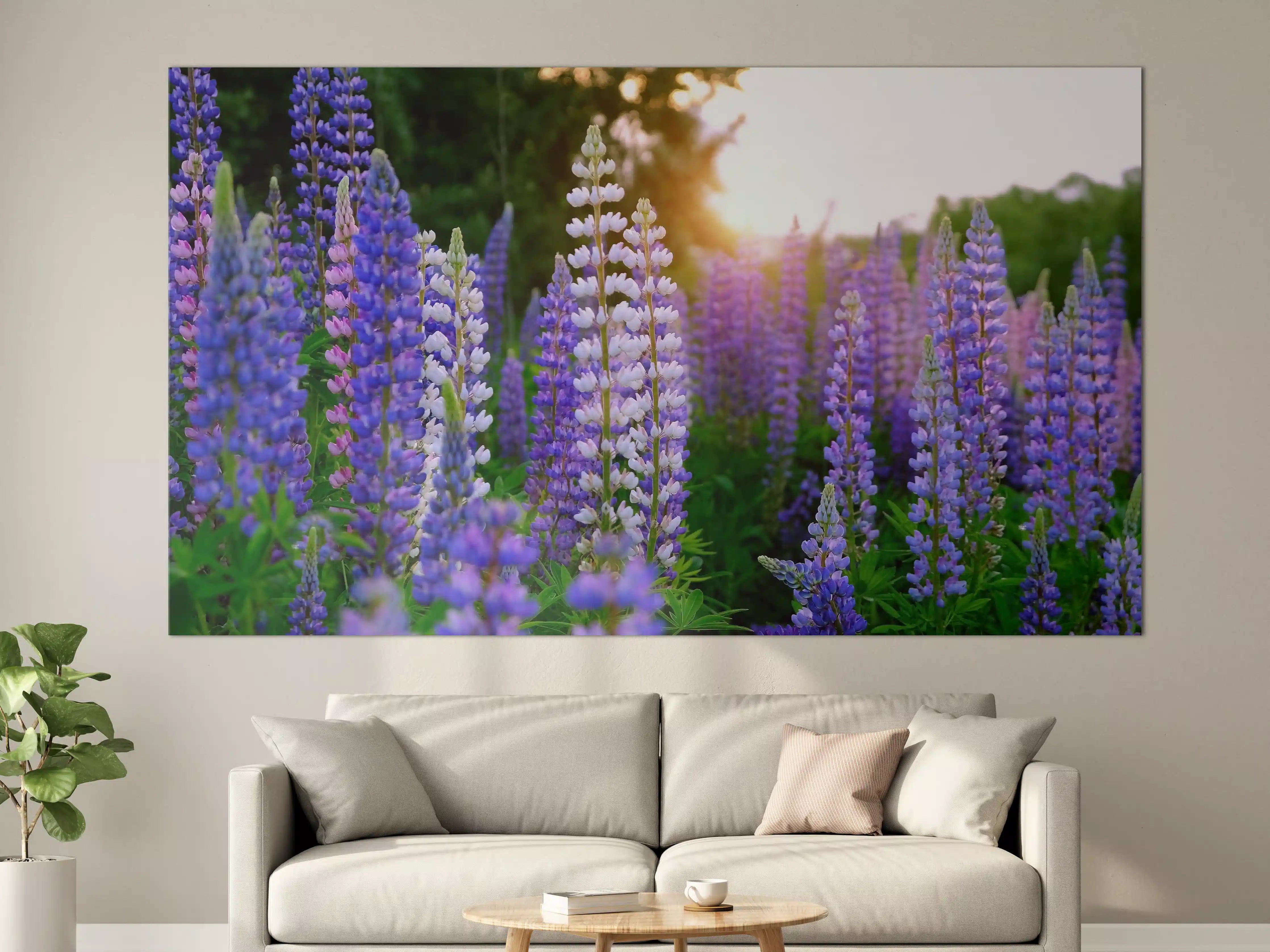 Große Wandbilder - lila-rosa Lupine Blumen
