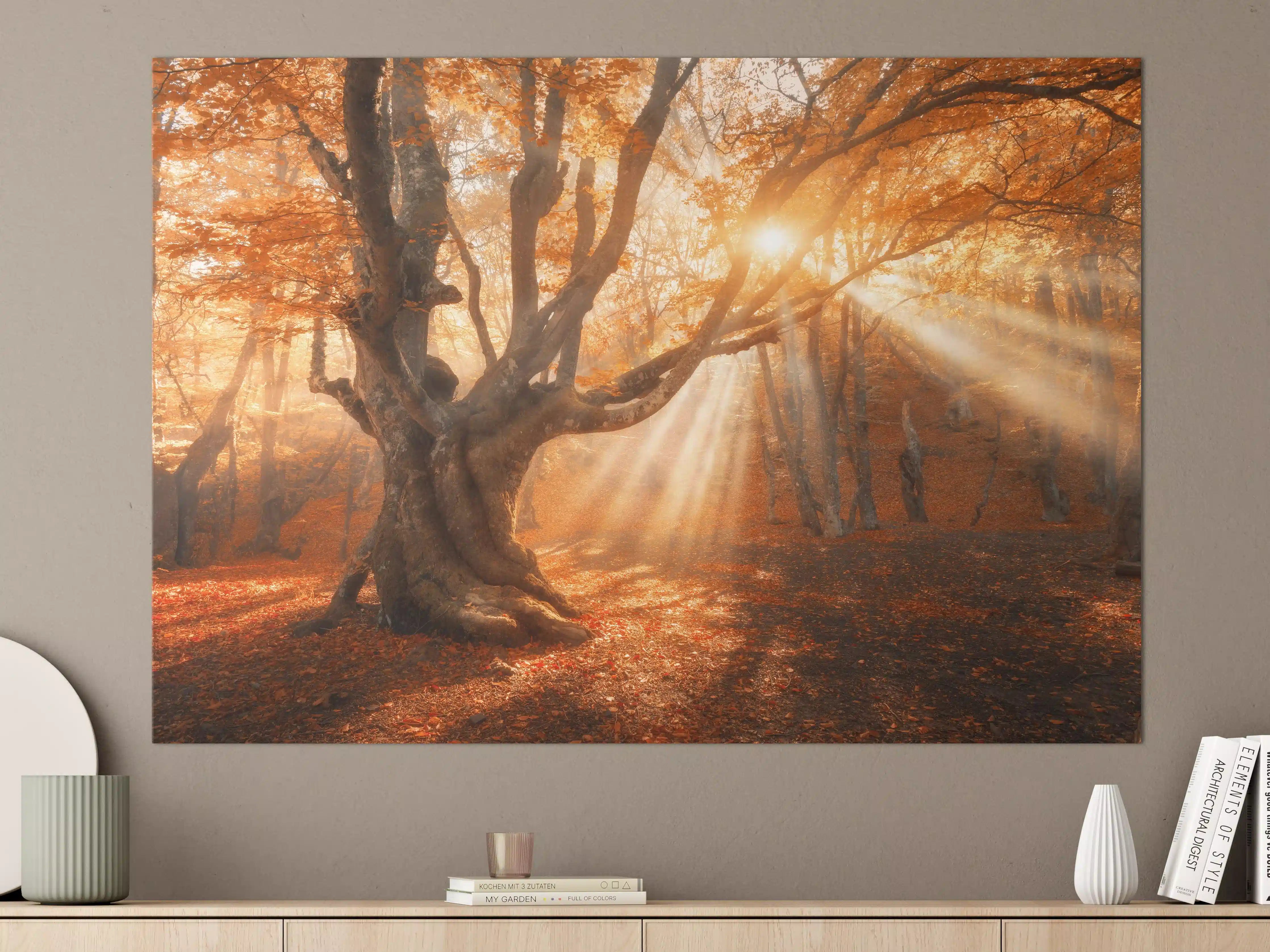 Große Wandbilder - magischer alter Baum im Herbst