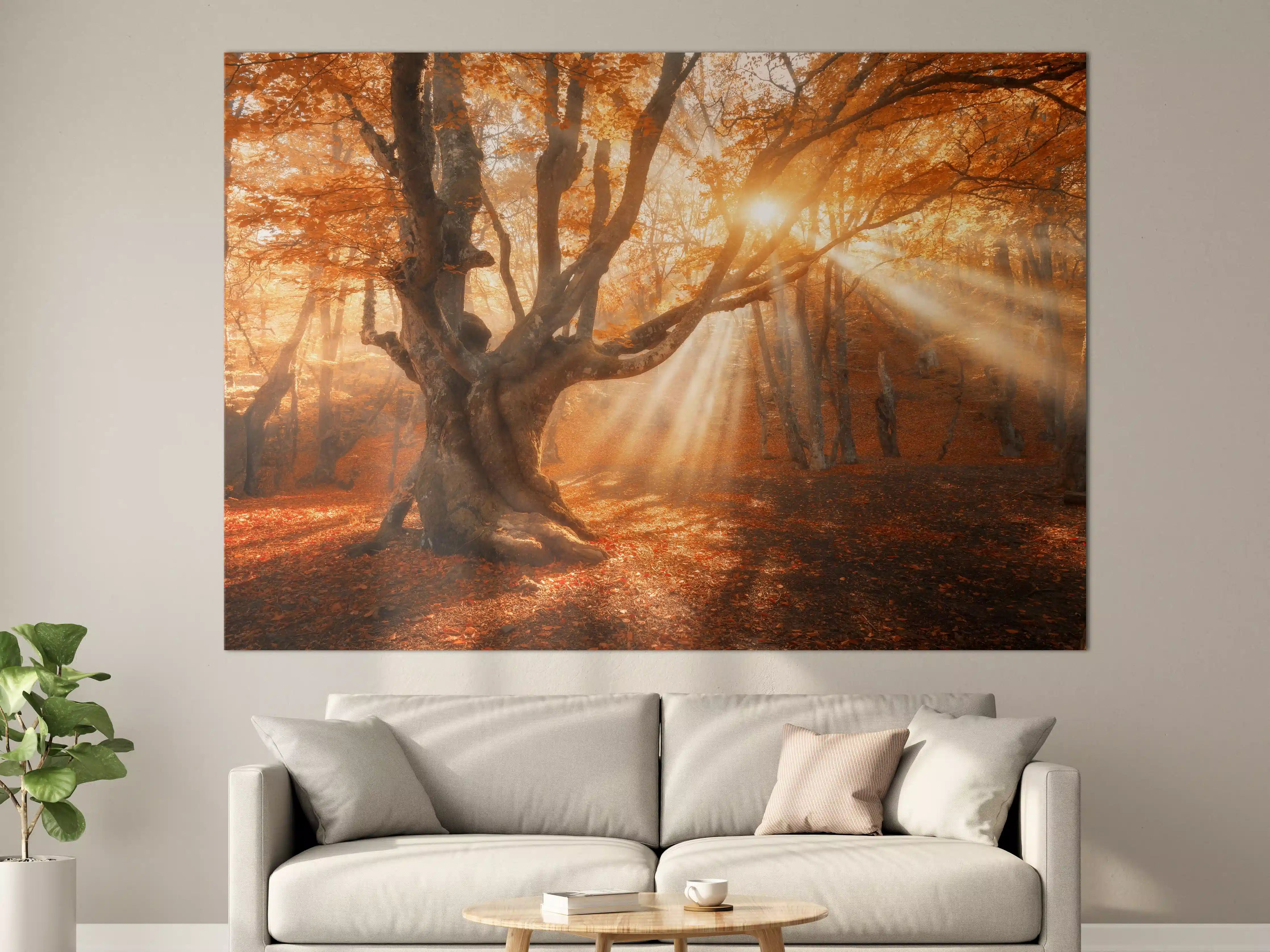 Große Wandbilder - magischer alter Baum im Herbst