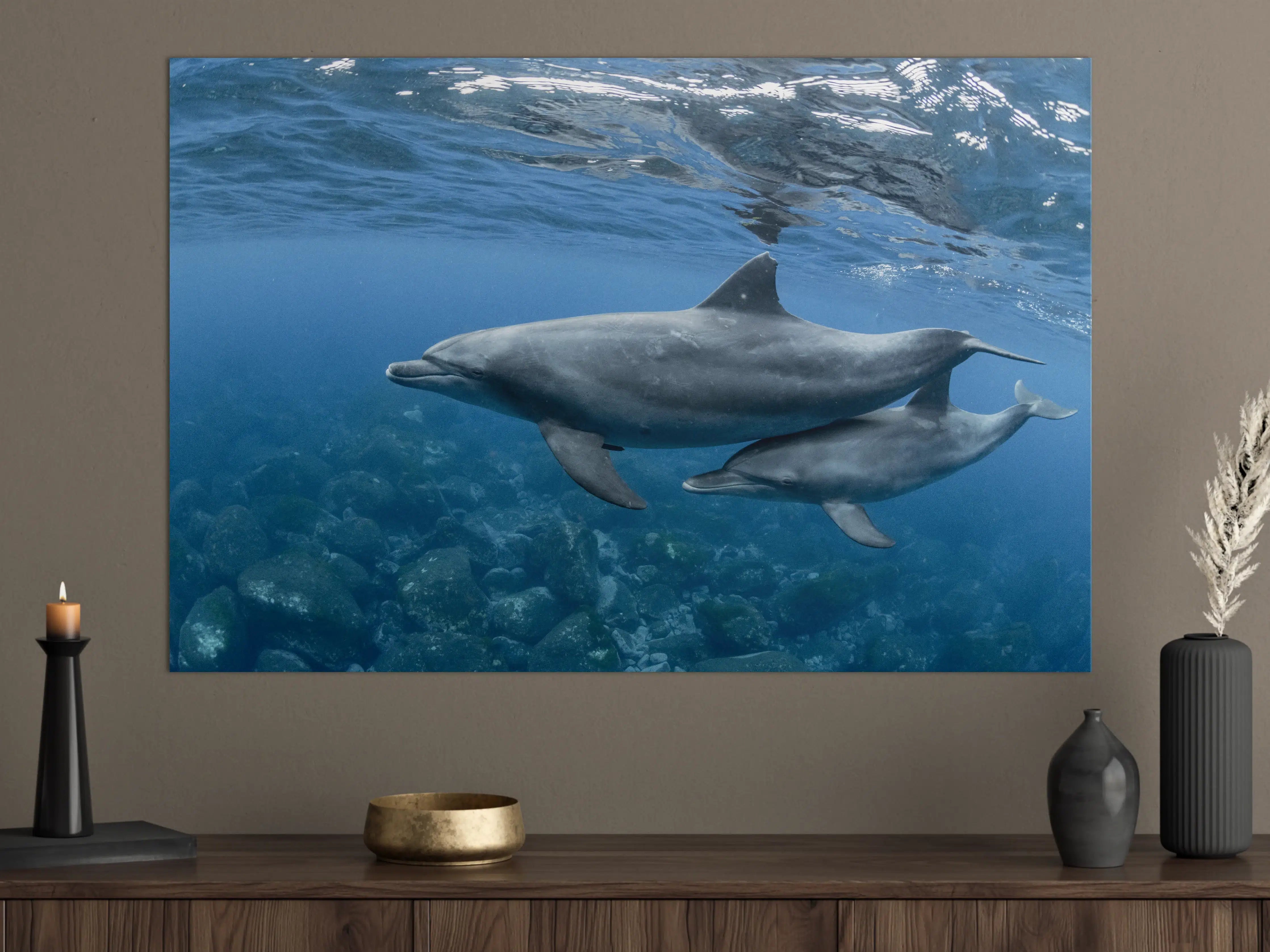 Große Wandbilder - niedliche Delfin-Familie