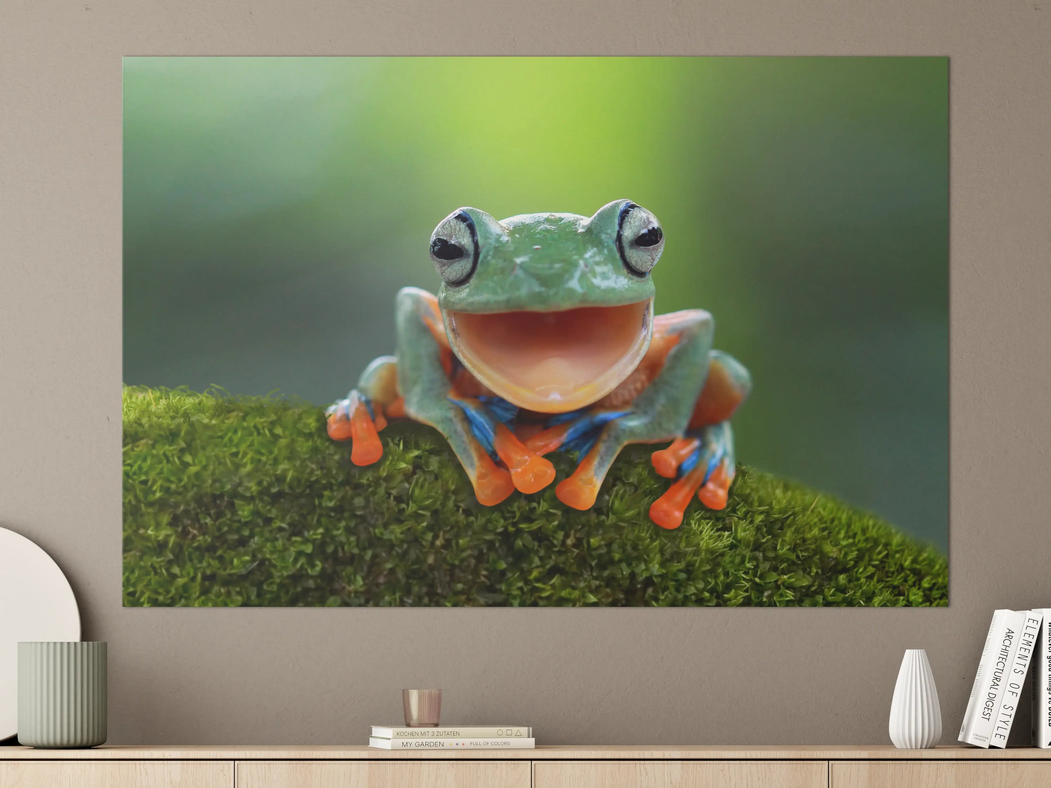 Große Wandbilder - niedlicher Laubfrosch in Nahaufnahme