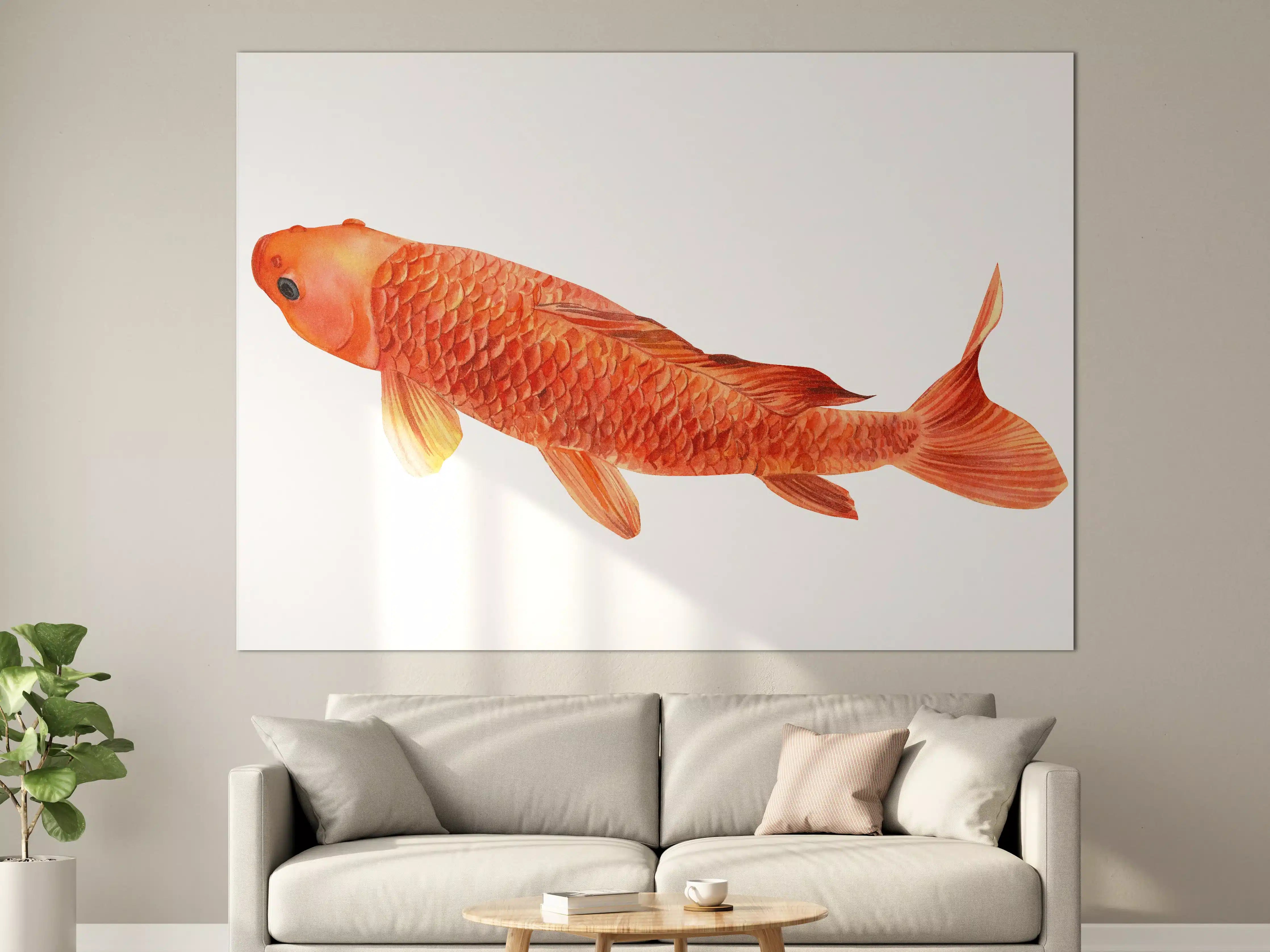 Große Wandbilder - orangefarbener Koi