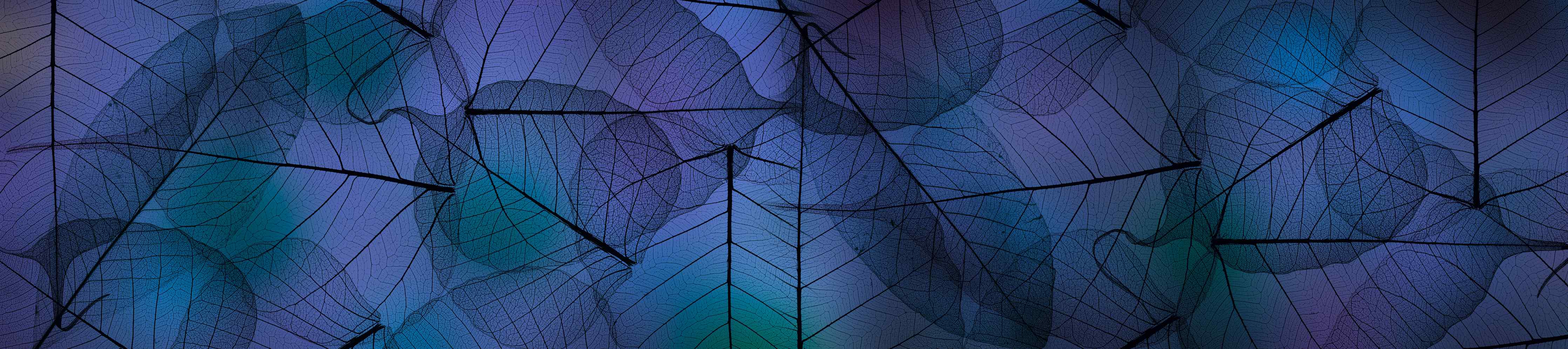 Kinderzimmer Wandgestaltung-Blaue Blattadern Textur Makro