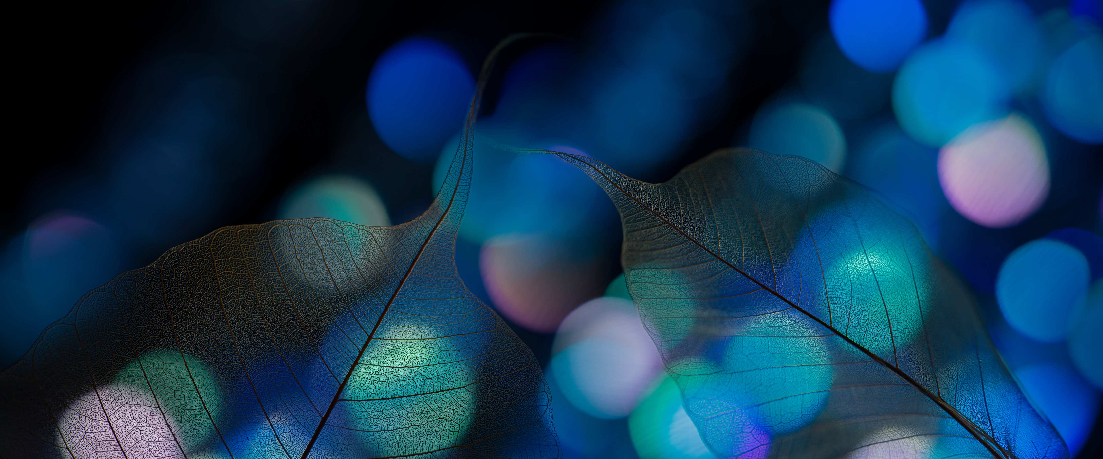 Kinderzimmer Wandgestaltung-Bokeh-Blattvenen-Textur