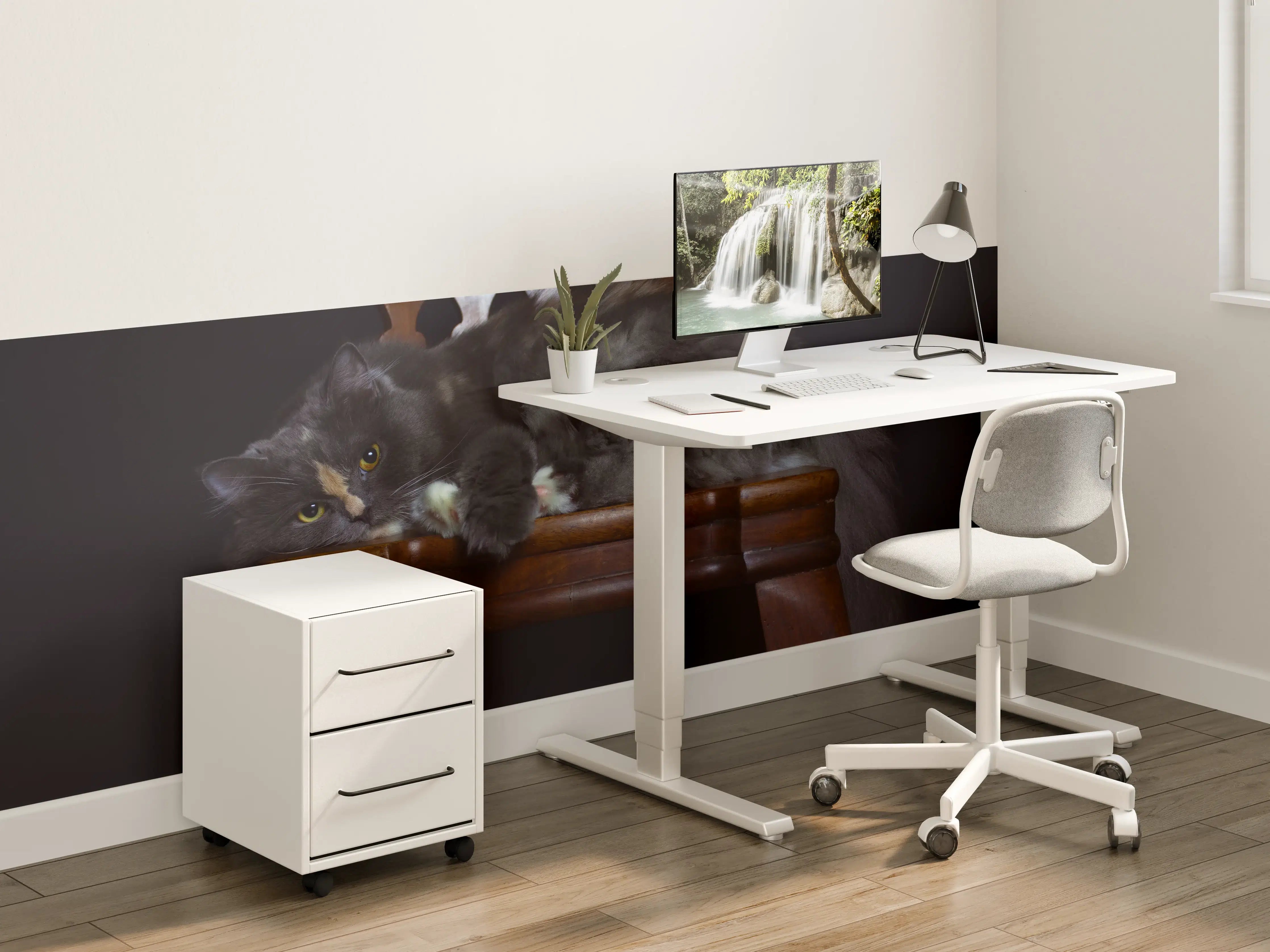 Kinderzimmer Wandgestaltung - Britisch Langhaarkatze auf Holzstuhl