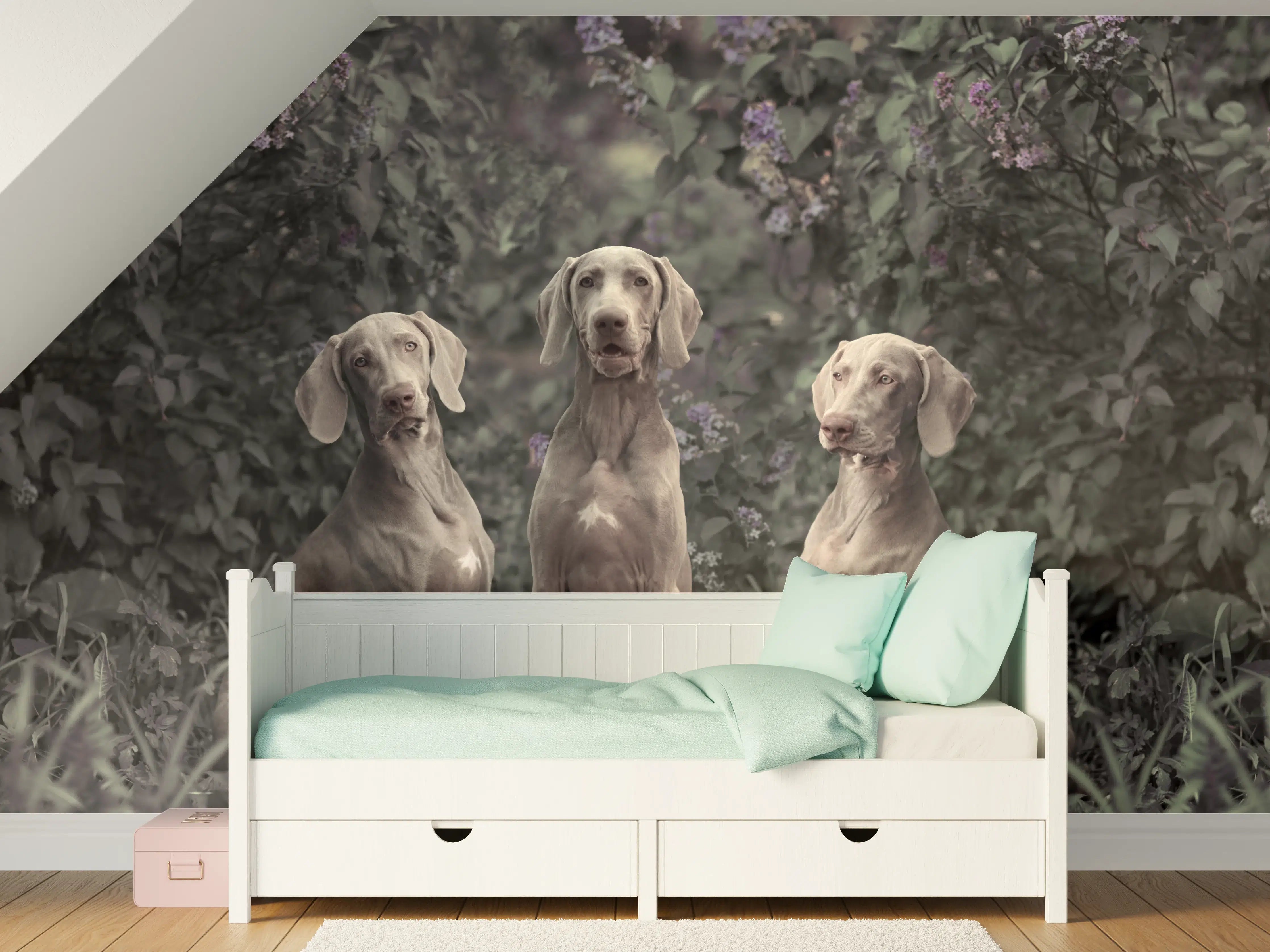 Kinderzimmer Wandgestaltung - Drei Weimaranerhunde sitzend im Fliedergebüsch
