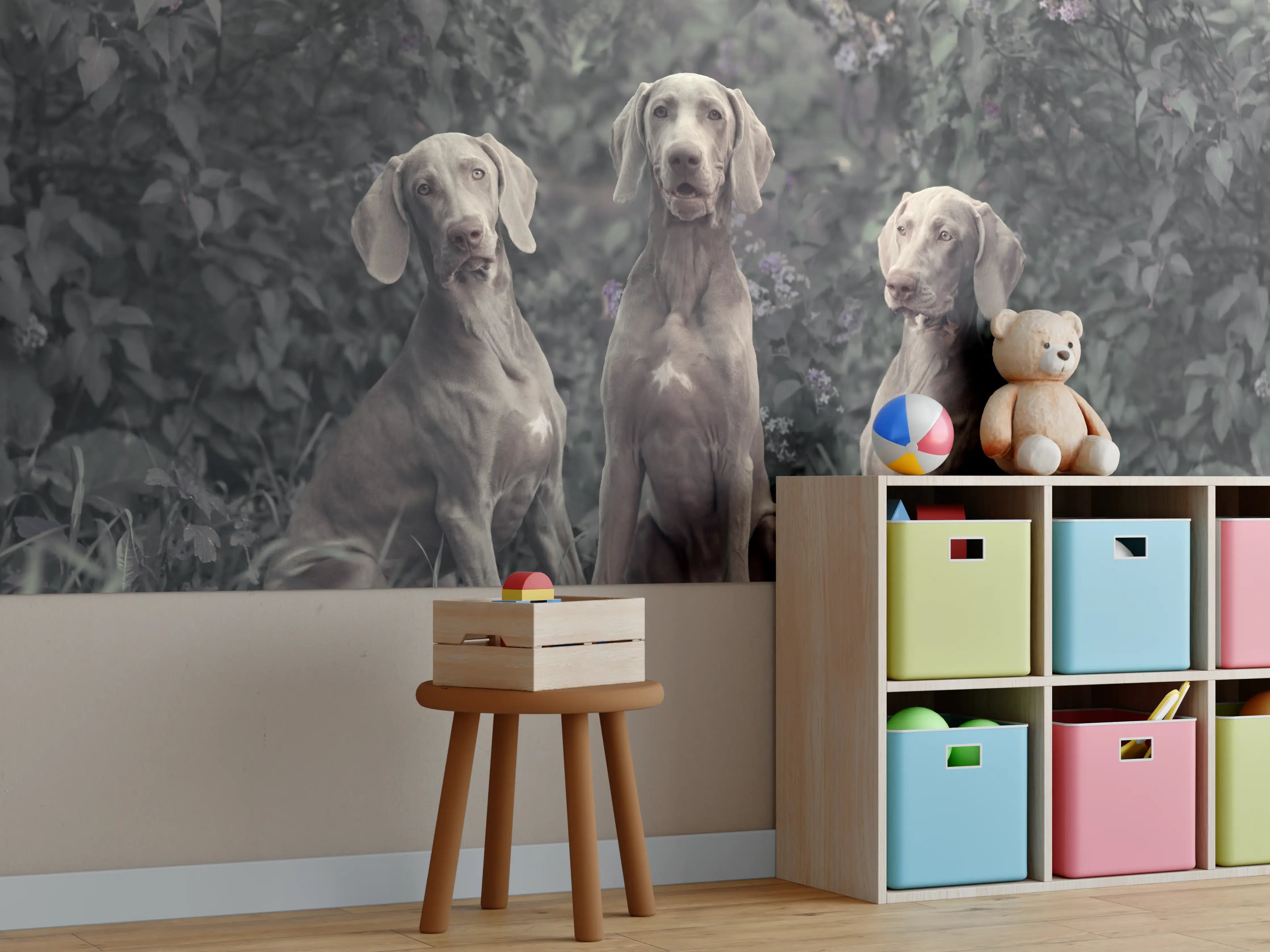 Kinderzimmer Wandgestaltung - Drei Weimaranerhunde sitzend im Fliedergebüsch