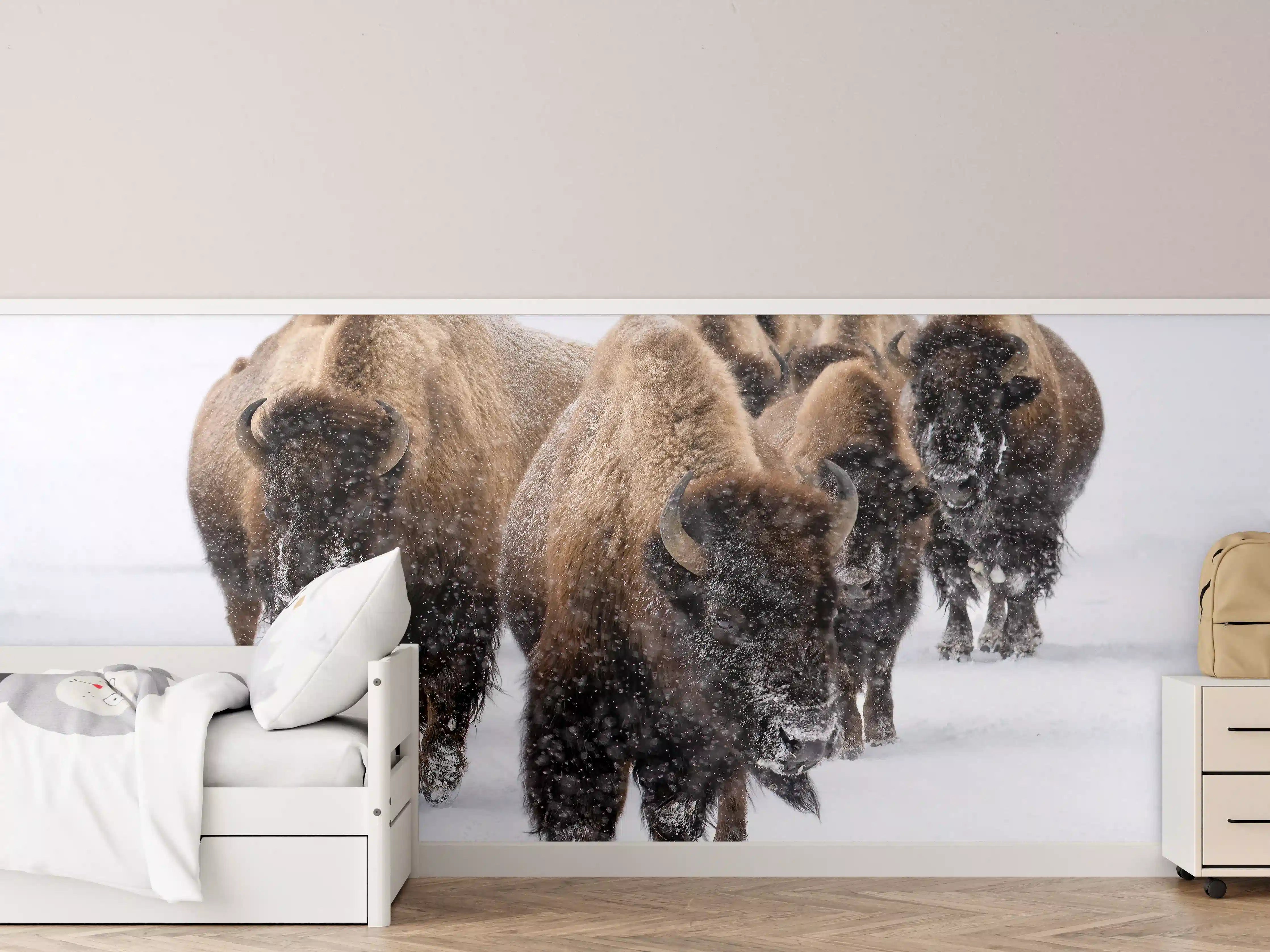 Kinderzimmer Wandgestaltung - Eine Bison Herde