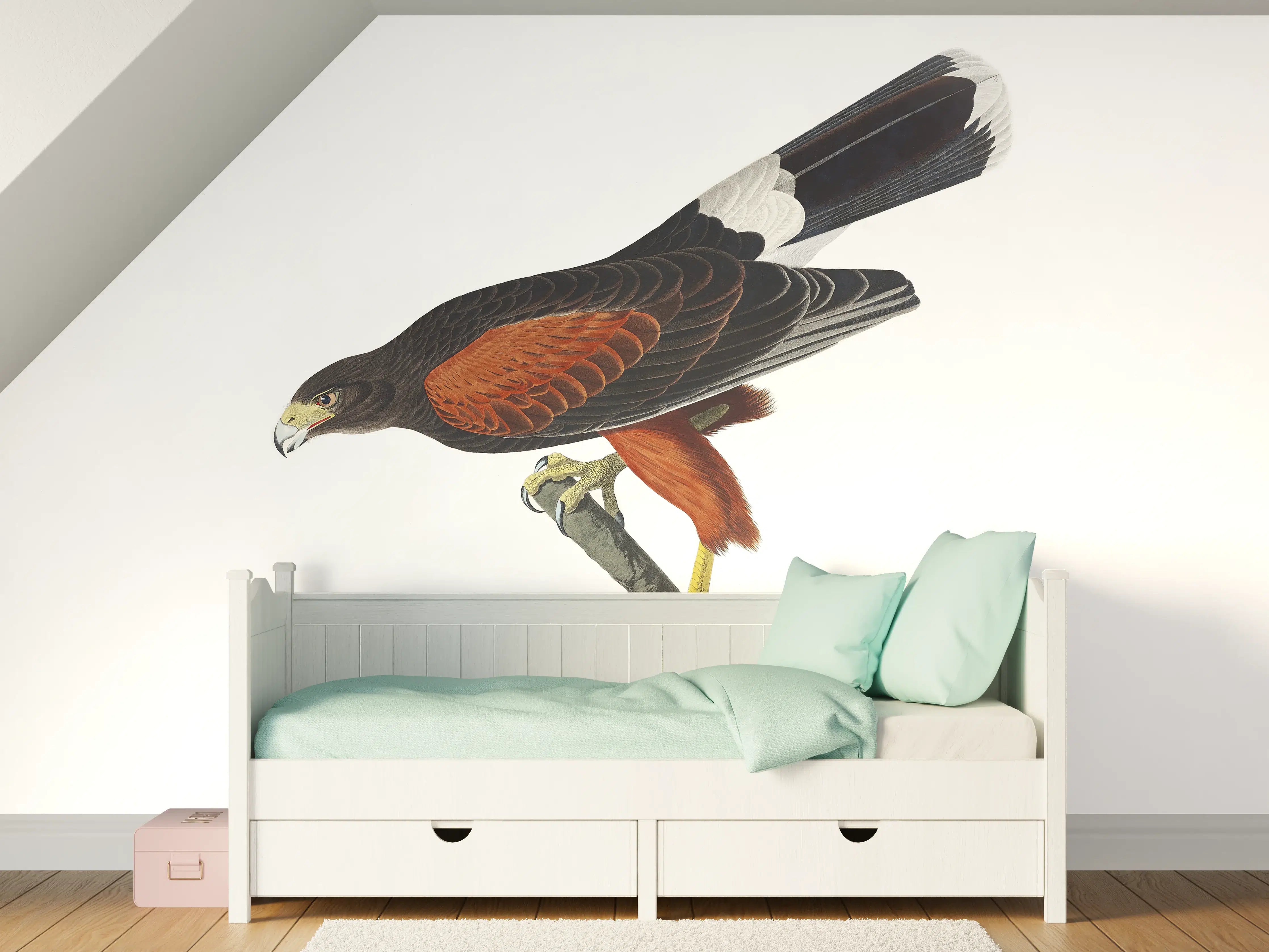Kinderzimmer Wandgestaltung - Falken Portrait - John James Audubon