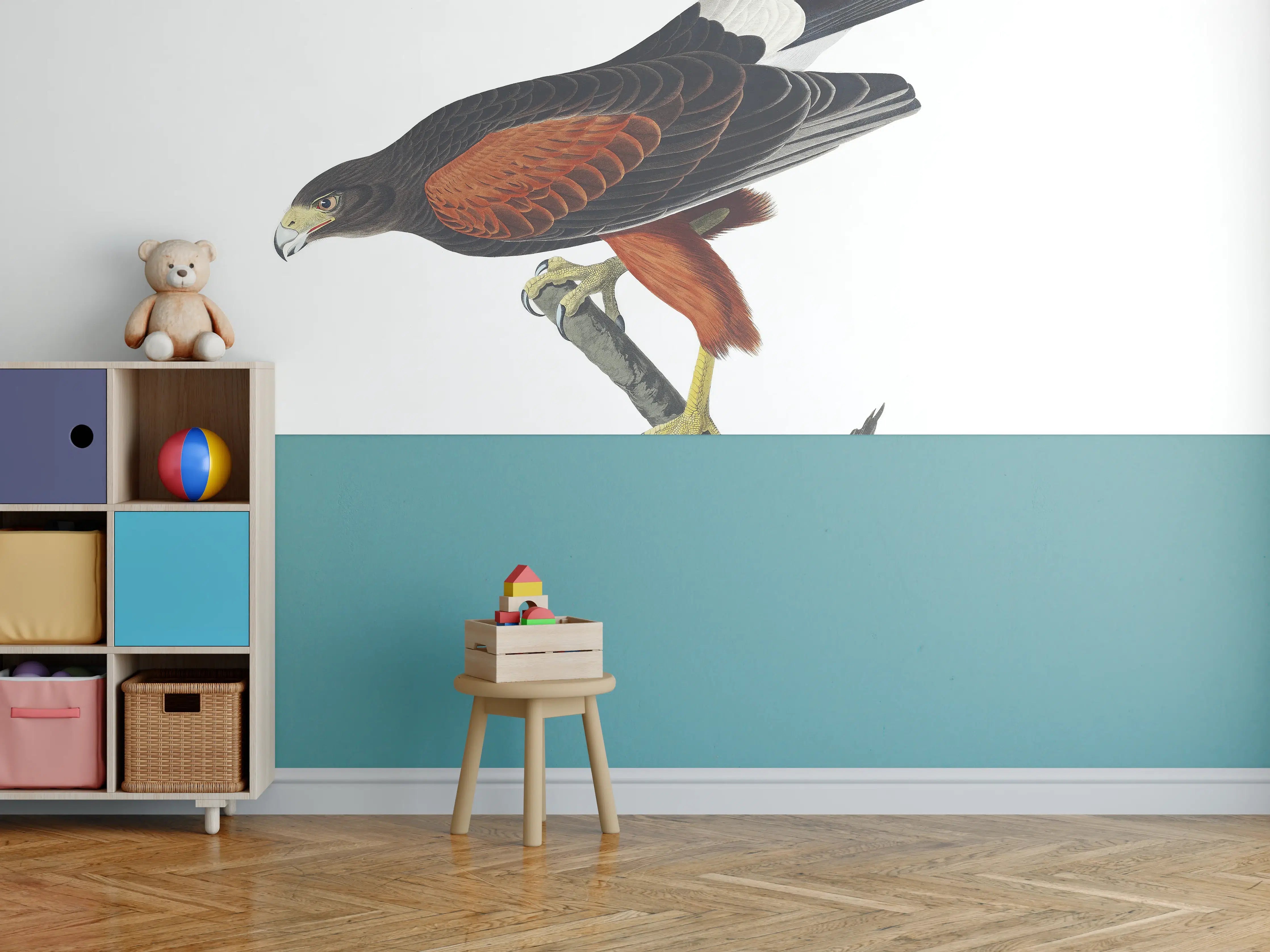 Kinderzimmer Wandgestaltung - Falken Portrait - John James Audubon
