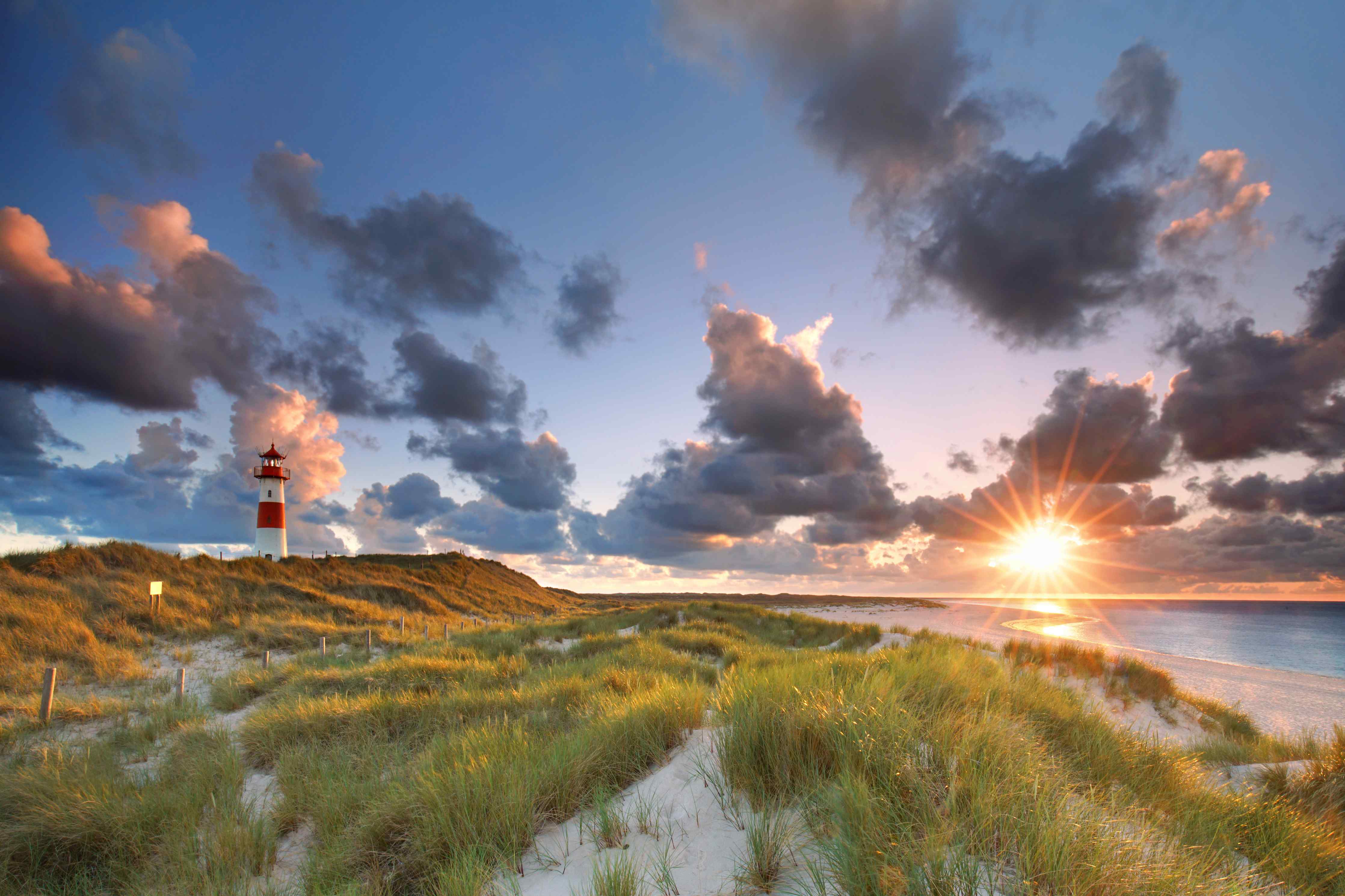 Kinderzimmer Wandgestaltung-Familienküche mit Holztisch
